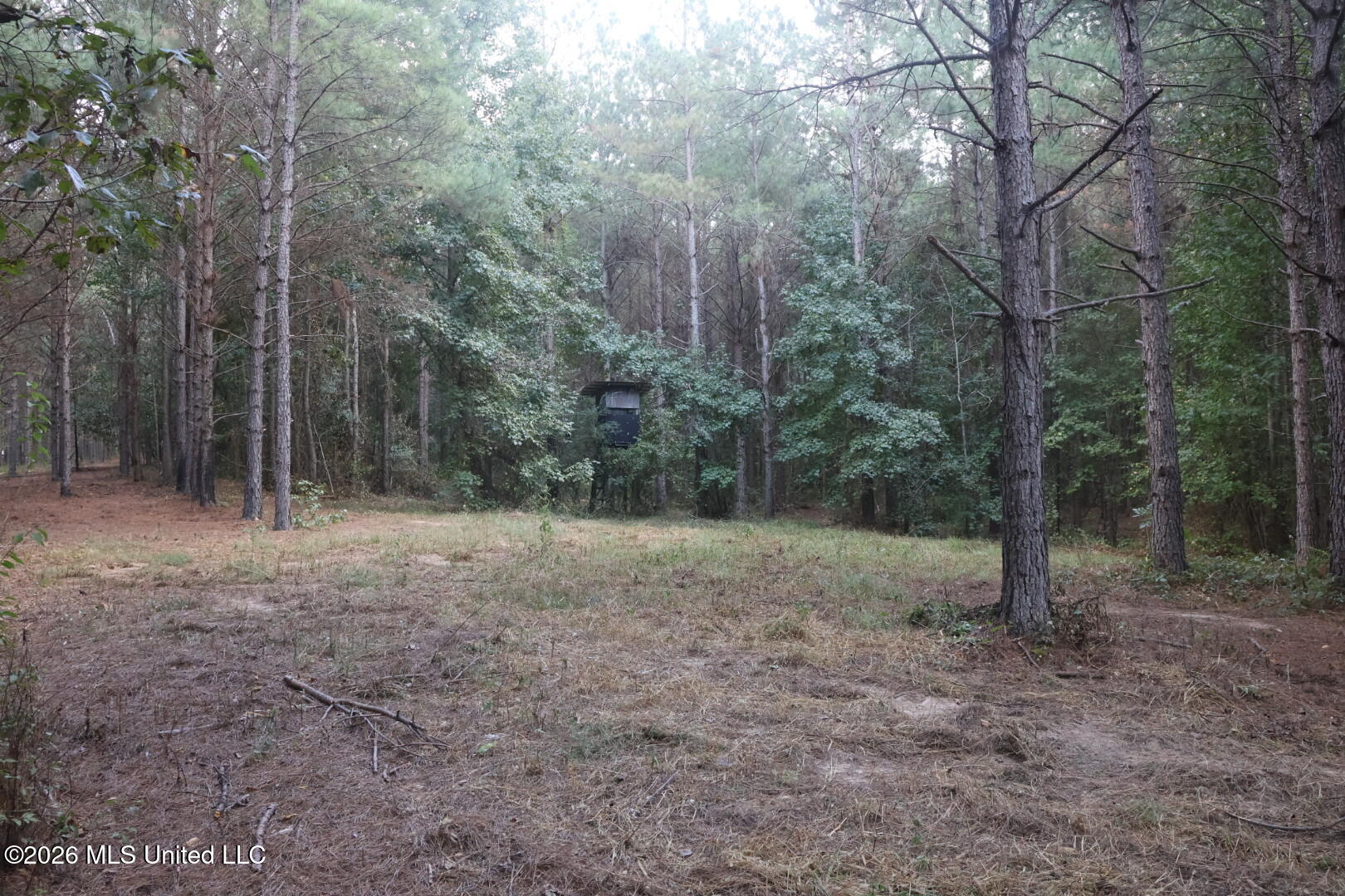 5529 Mlking Junior Drive Property Photo 13