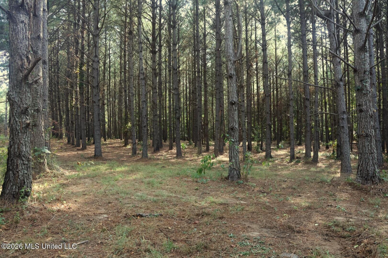 5529 Mlking Junior Drive Property Photo 14