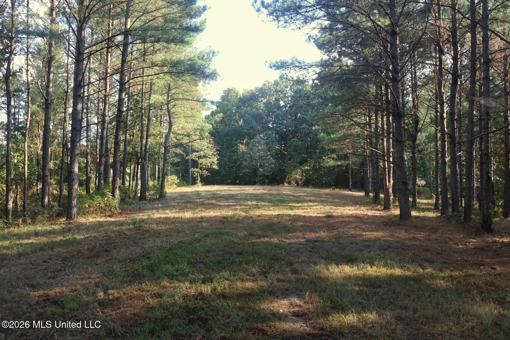 5529 Mlking Junior Drive Property Photo 18