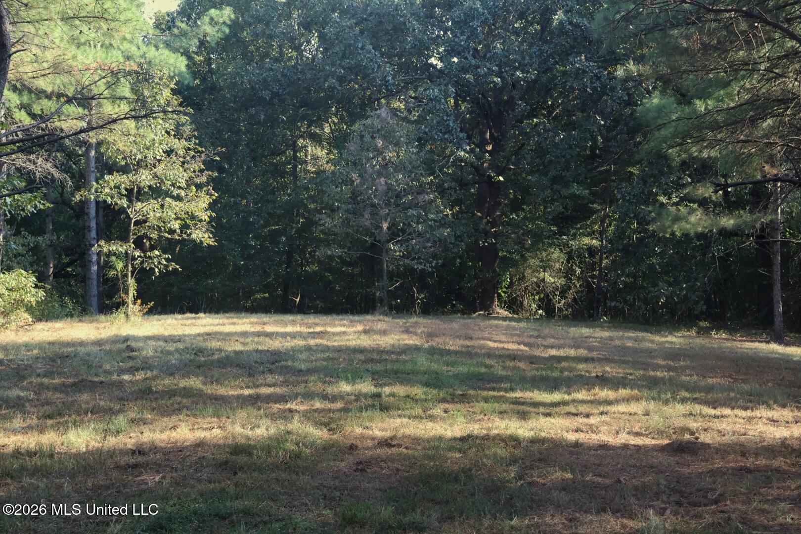 5529 Mlking Junior Drive Property Photo 19