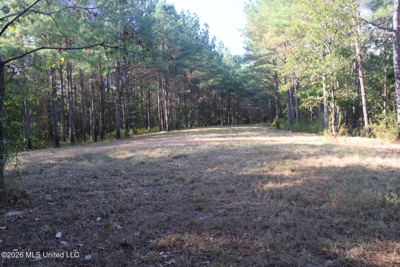 5529 Mlking Junior Drive Property Photo 20