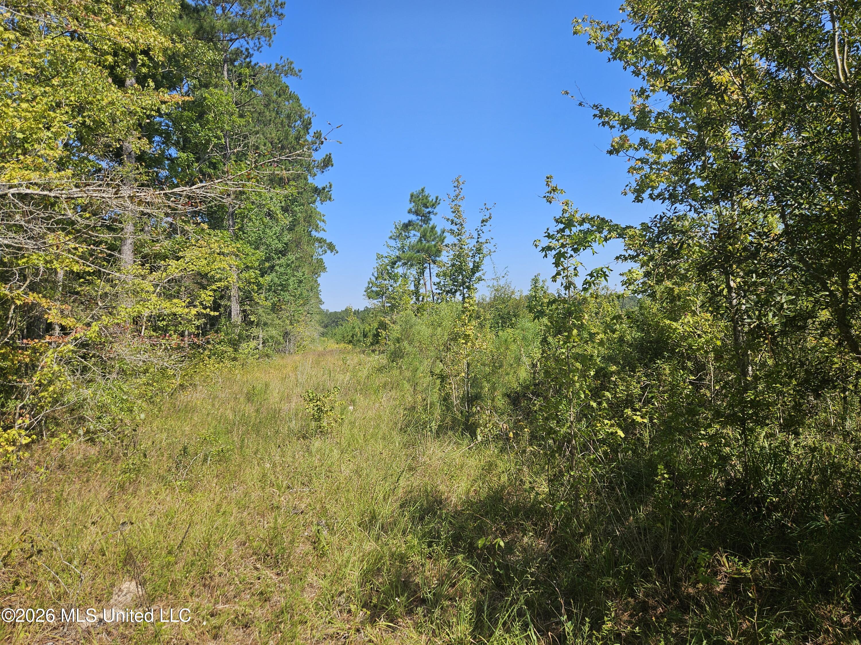 River Bend Road Property Photo 3