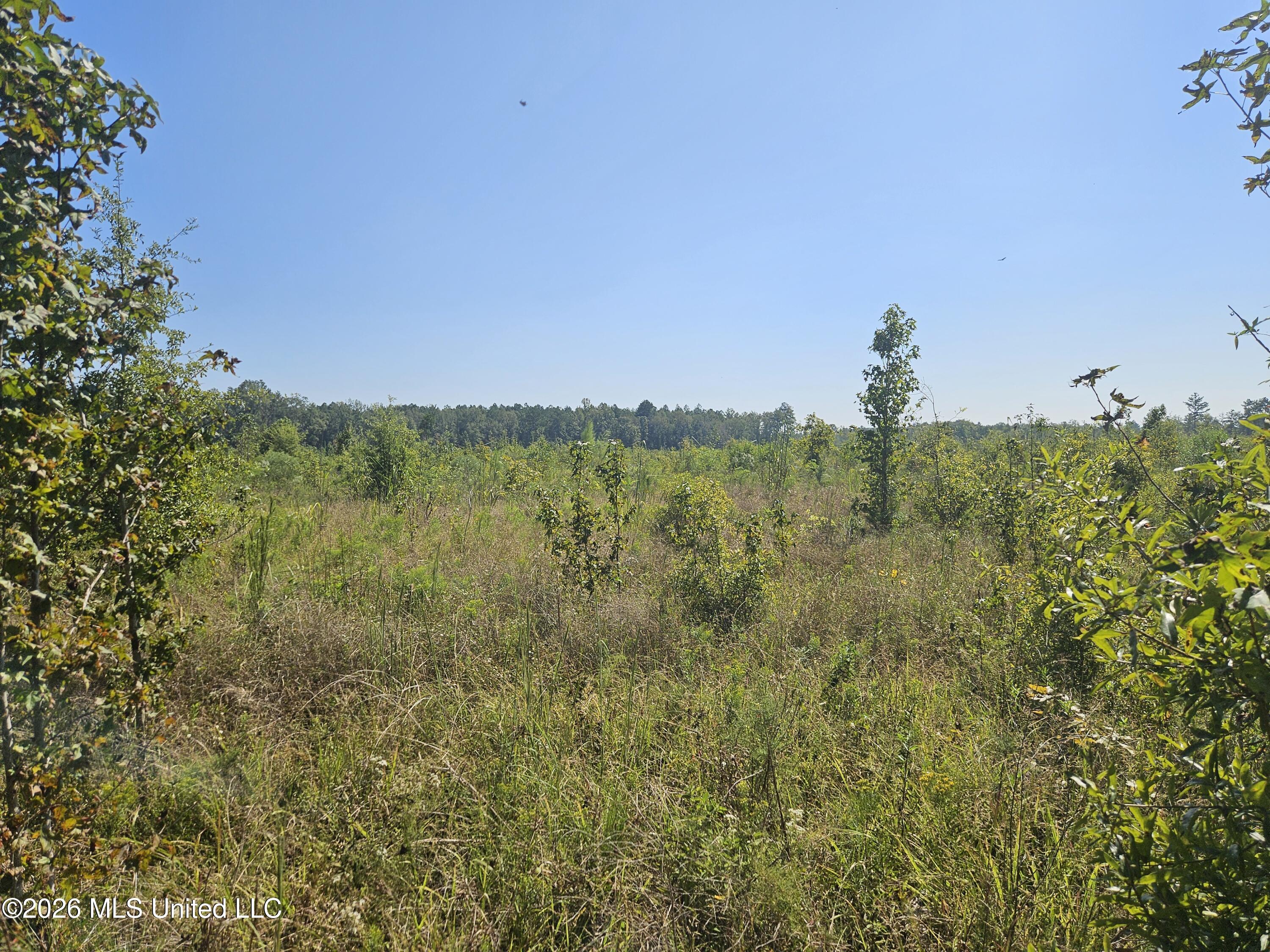 River Bend Road Property Photo 5