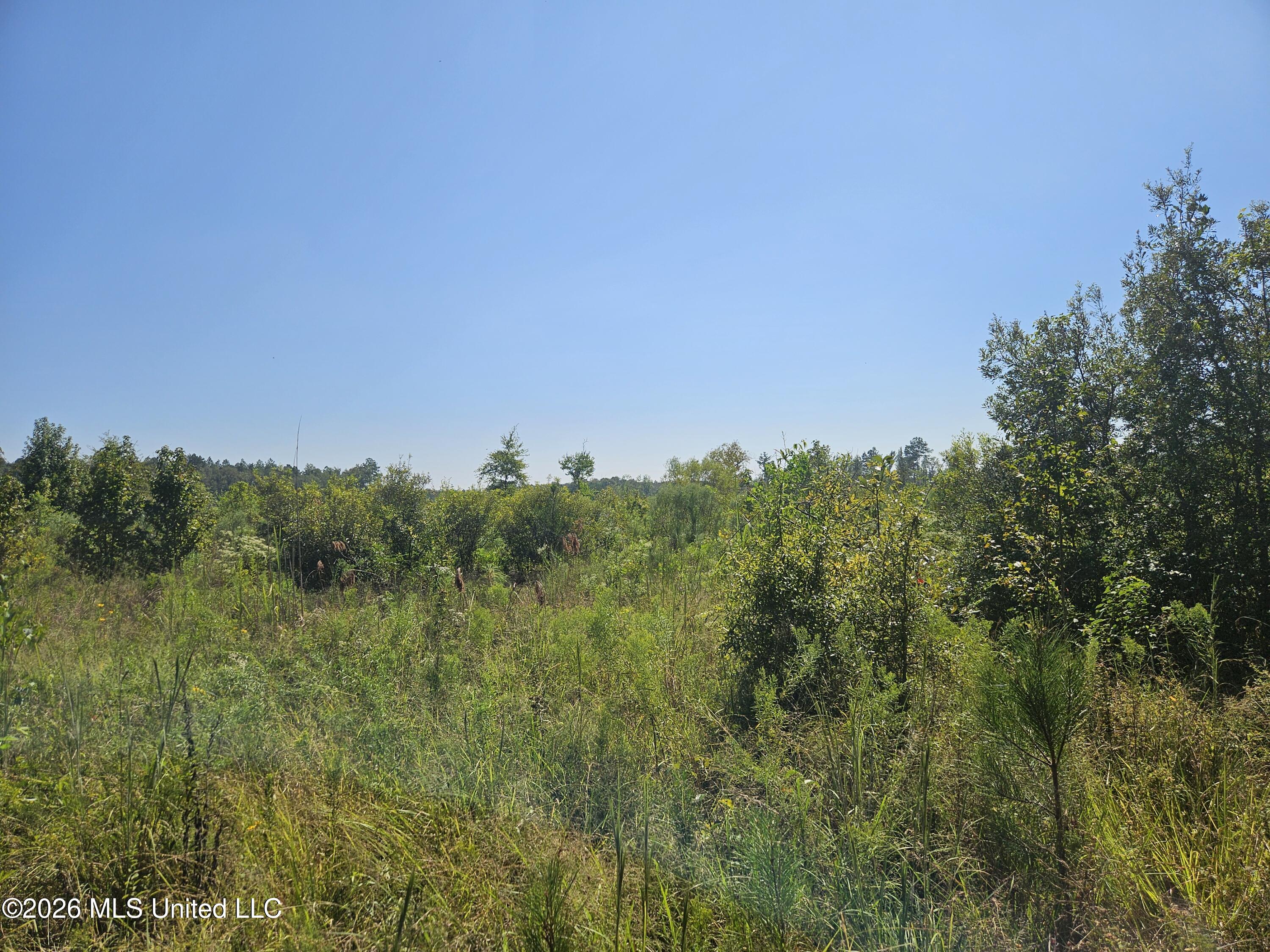 River Bend Road Property Photo 6