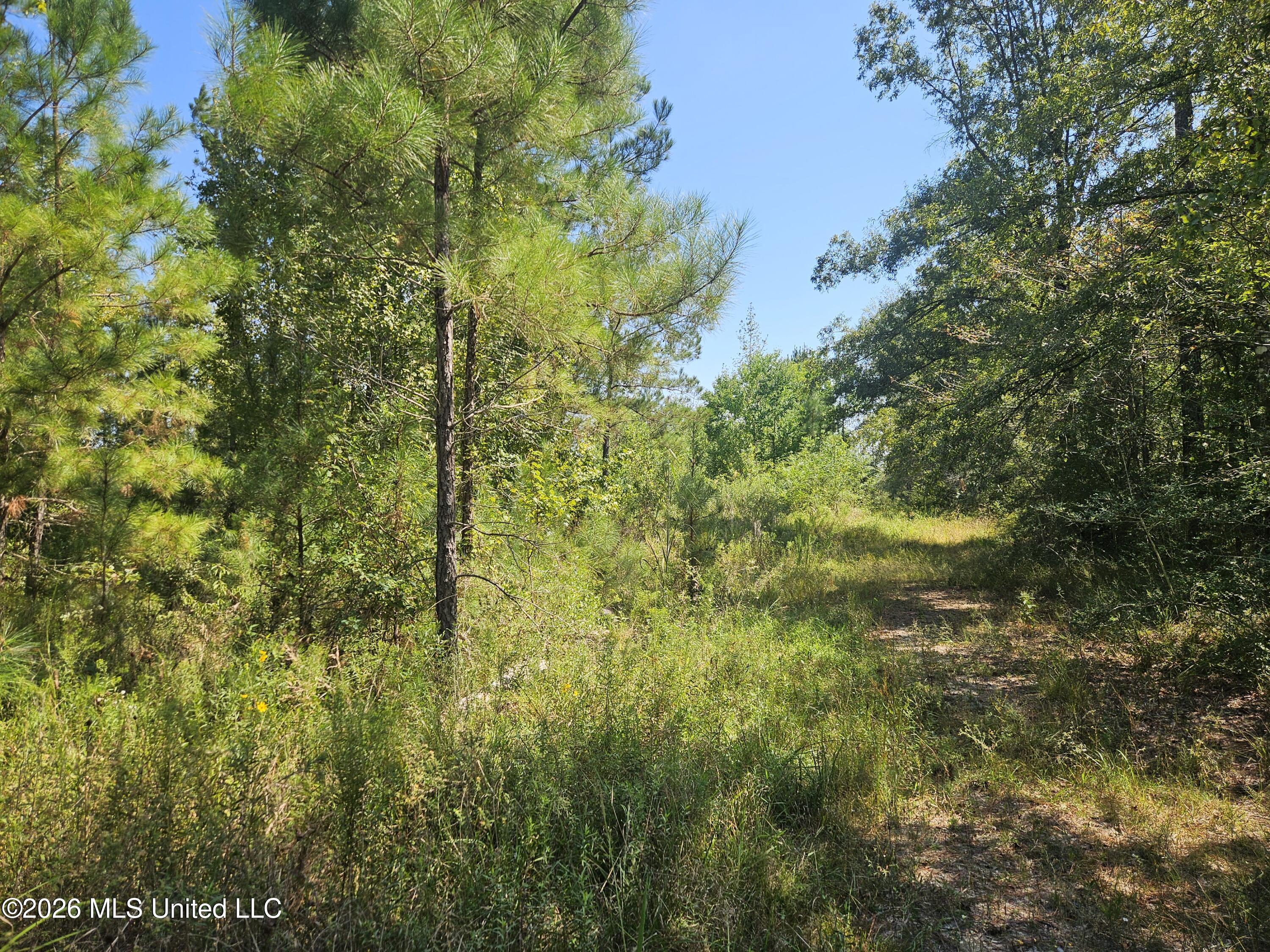 River Bend Road Property Photo 7