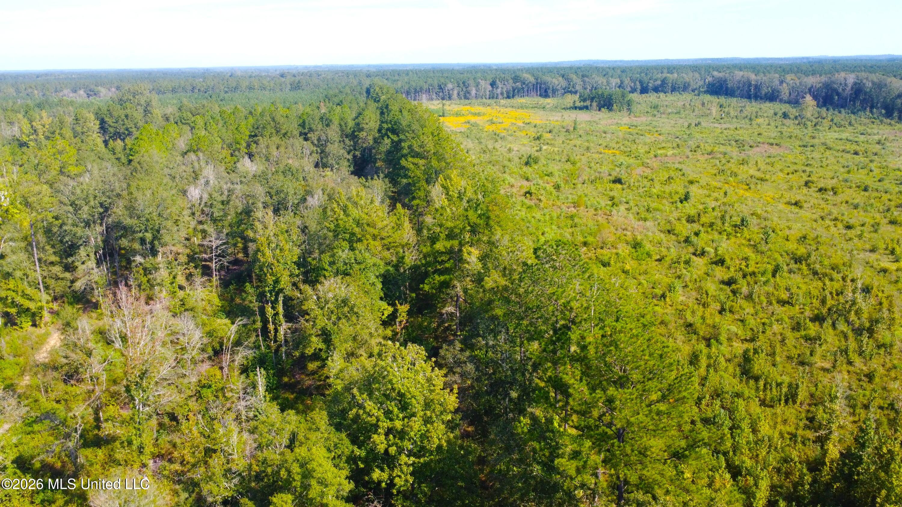 River Bend Road Property Photo 30