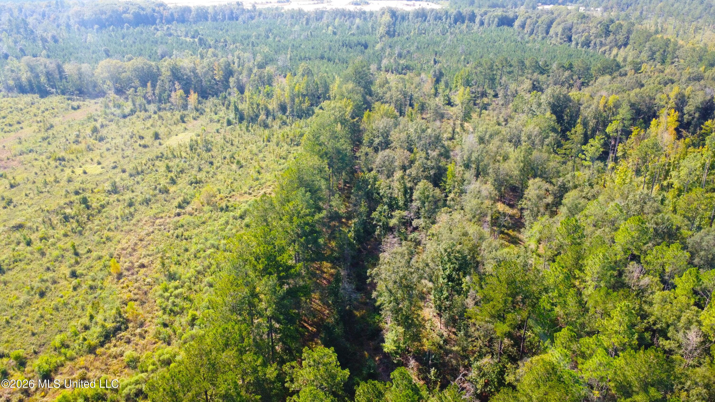River Bend Road Property Photo 32