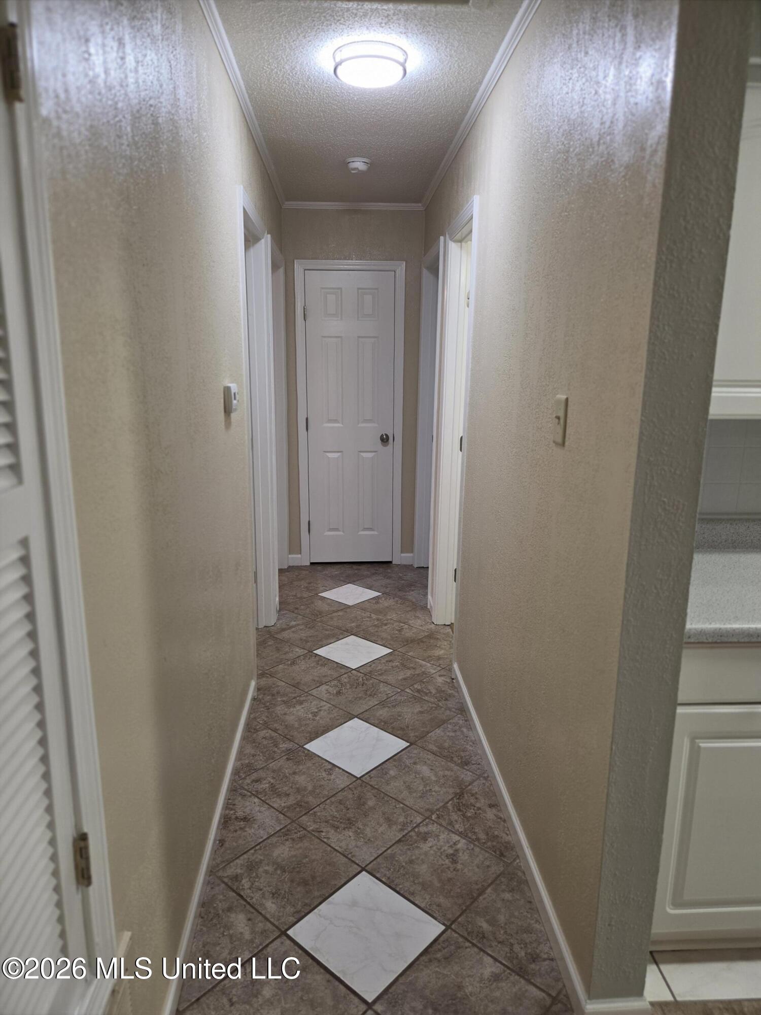 108 Graham Street Property Photo 10