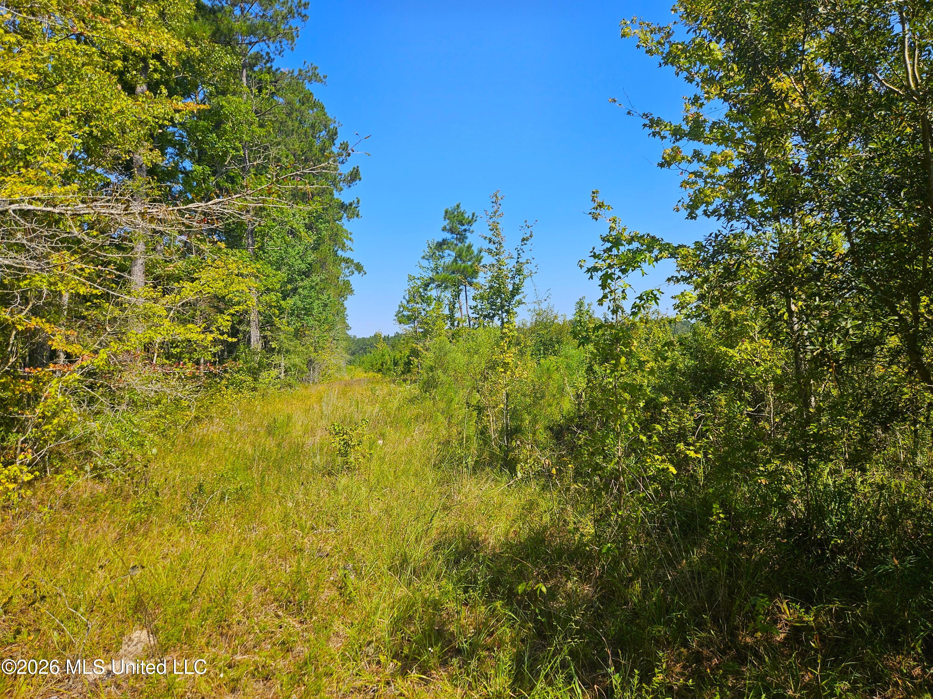 River Bend Road Property Photo 21