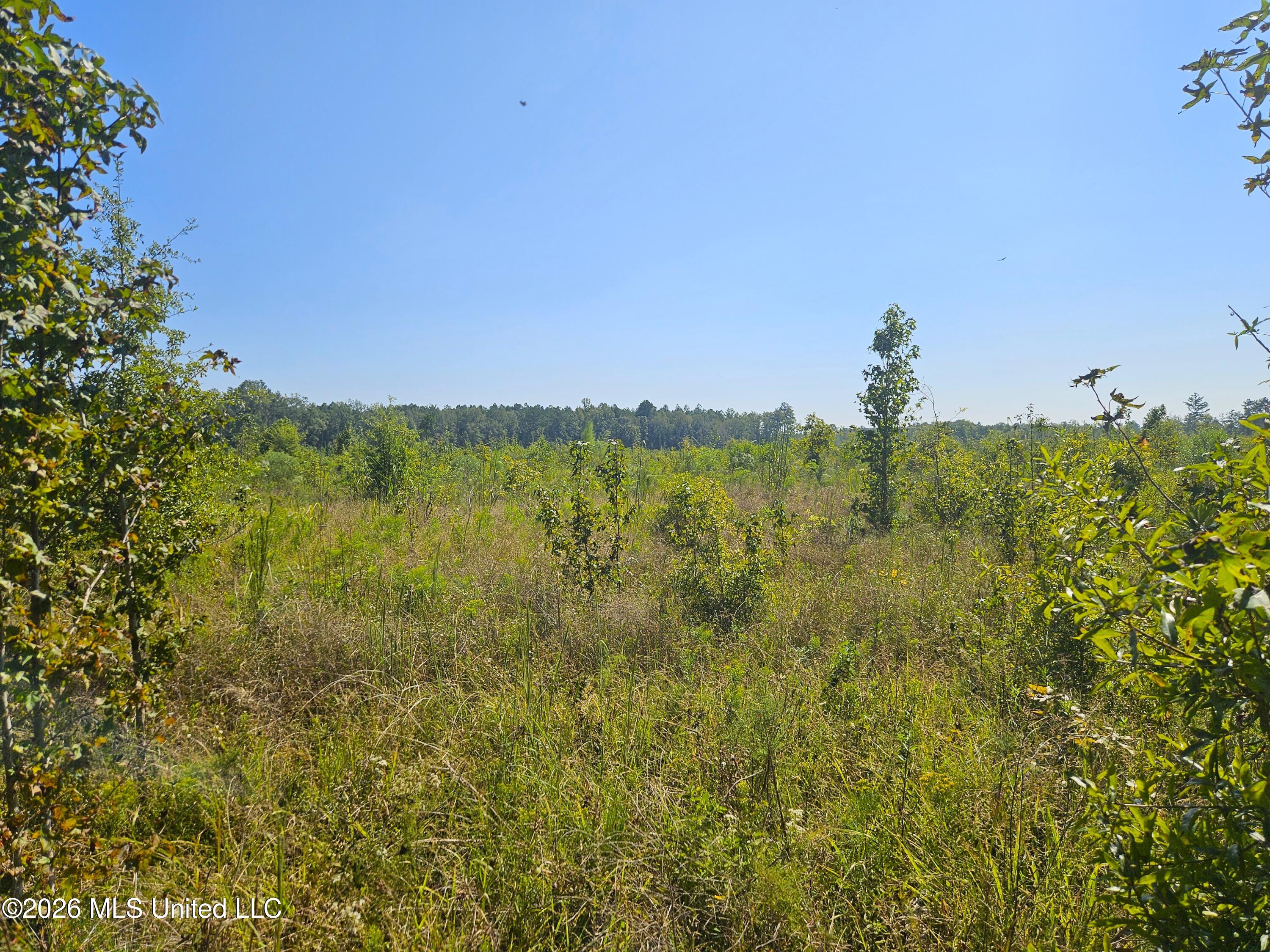 River Bend Road Property Photo 23