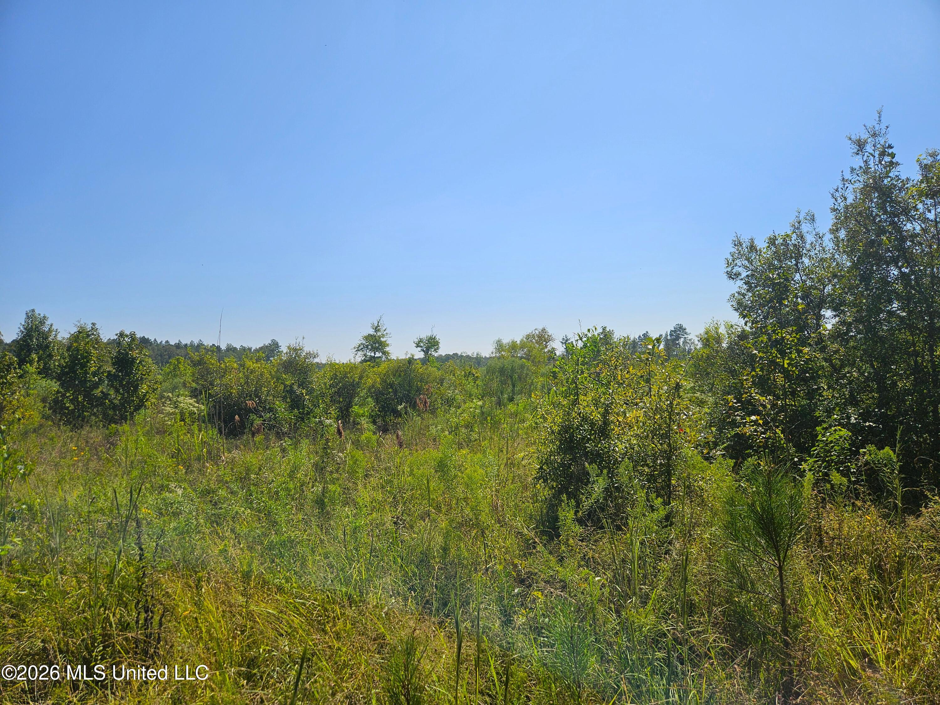 River Bend Road Property Photo 24