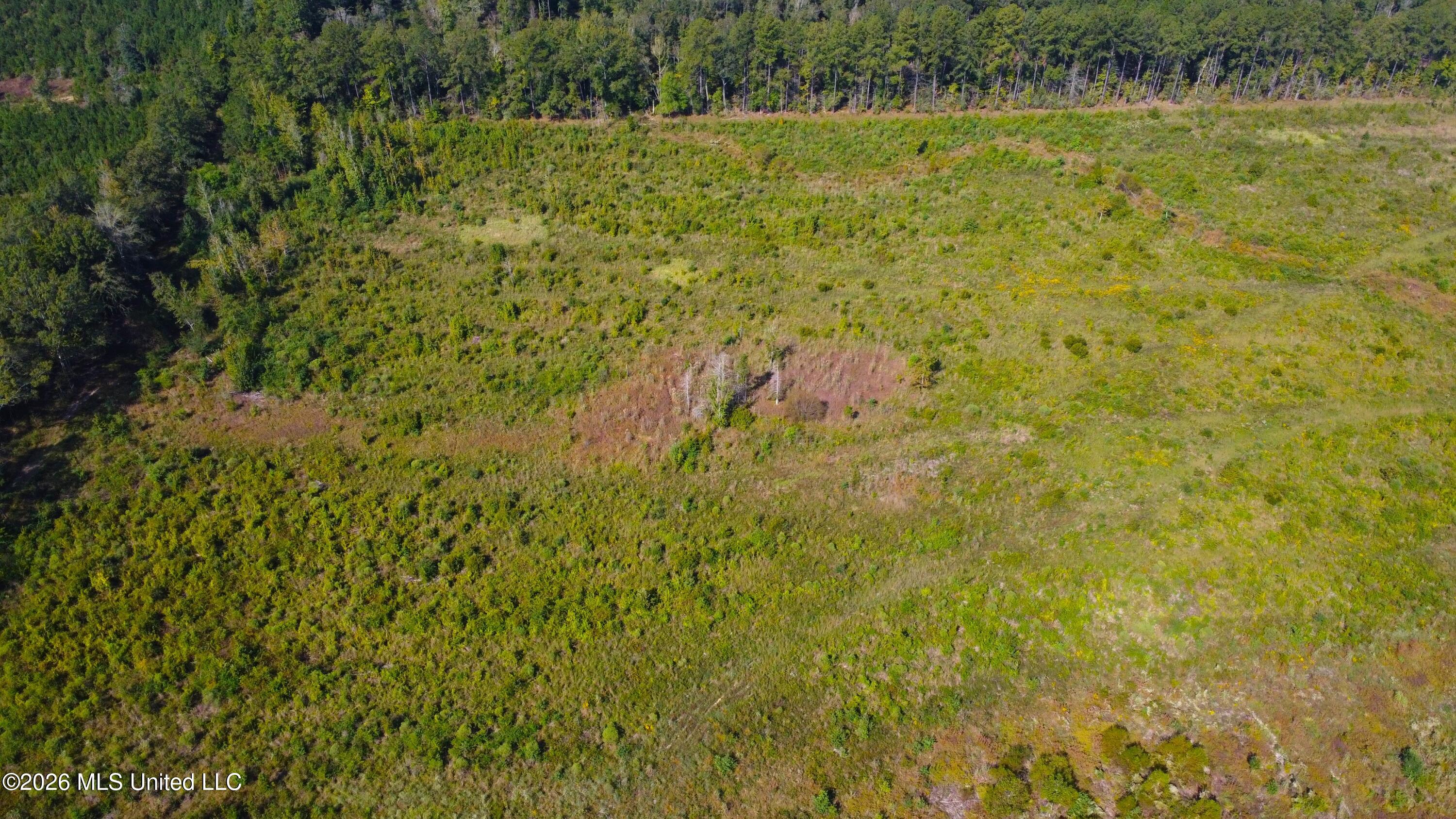 River Bend Road Property Photo 31