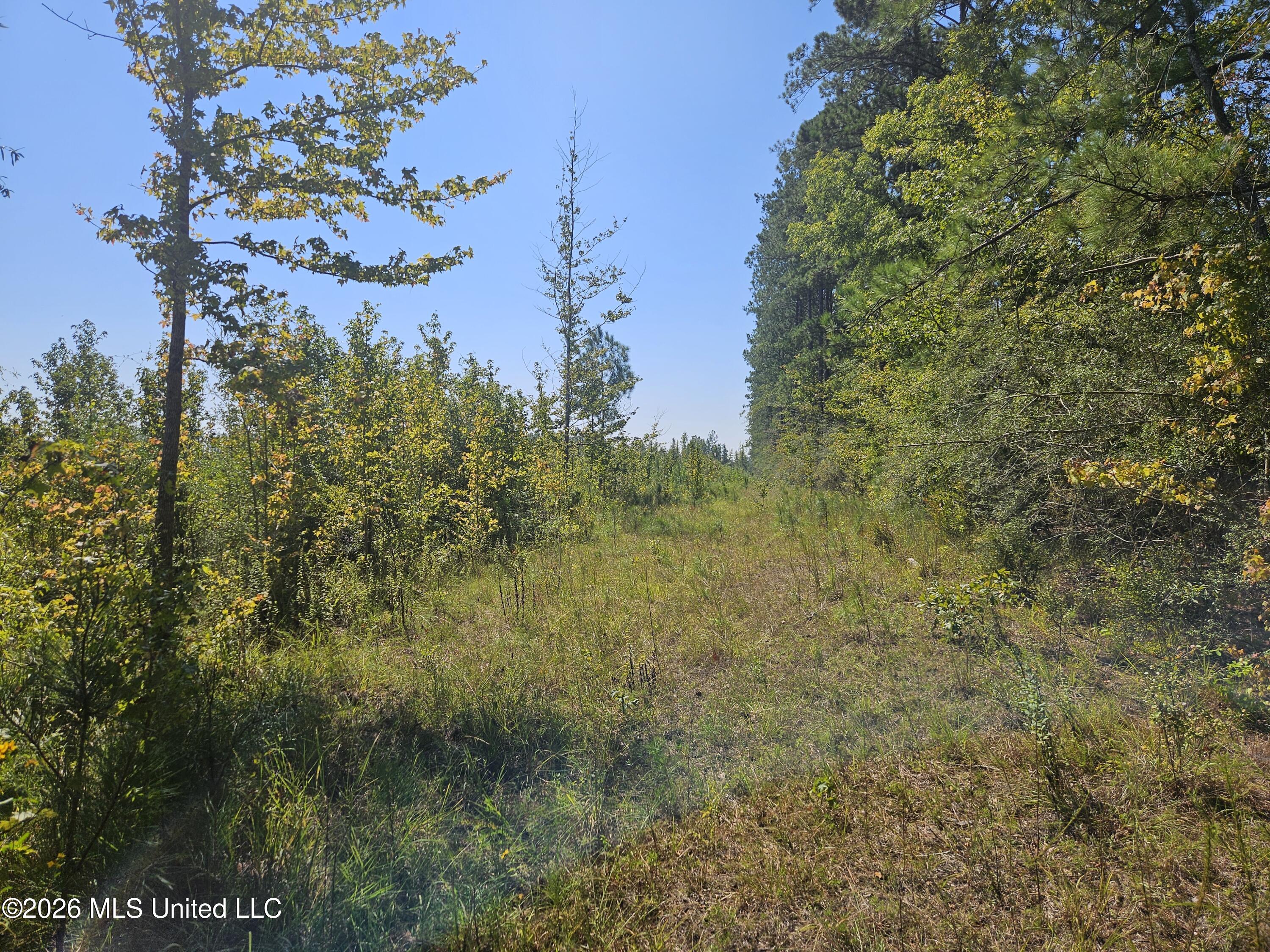 River Bend Road Property Photo 2