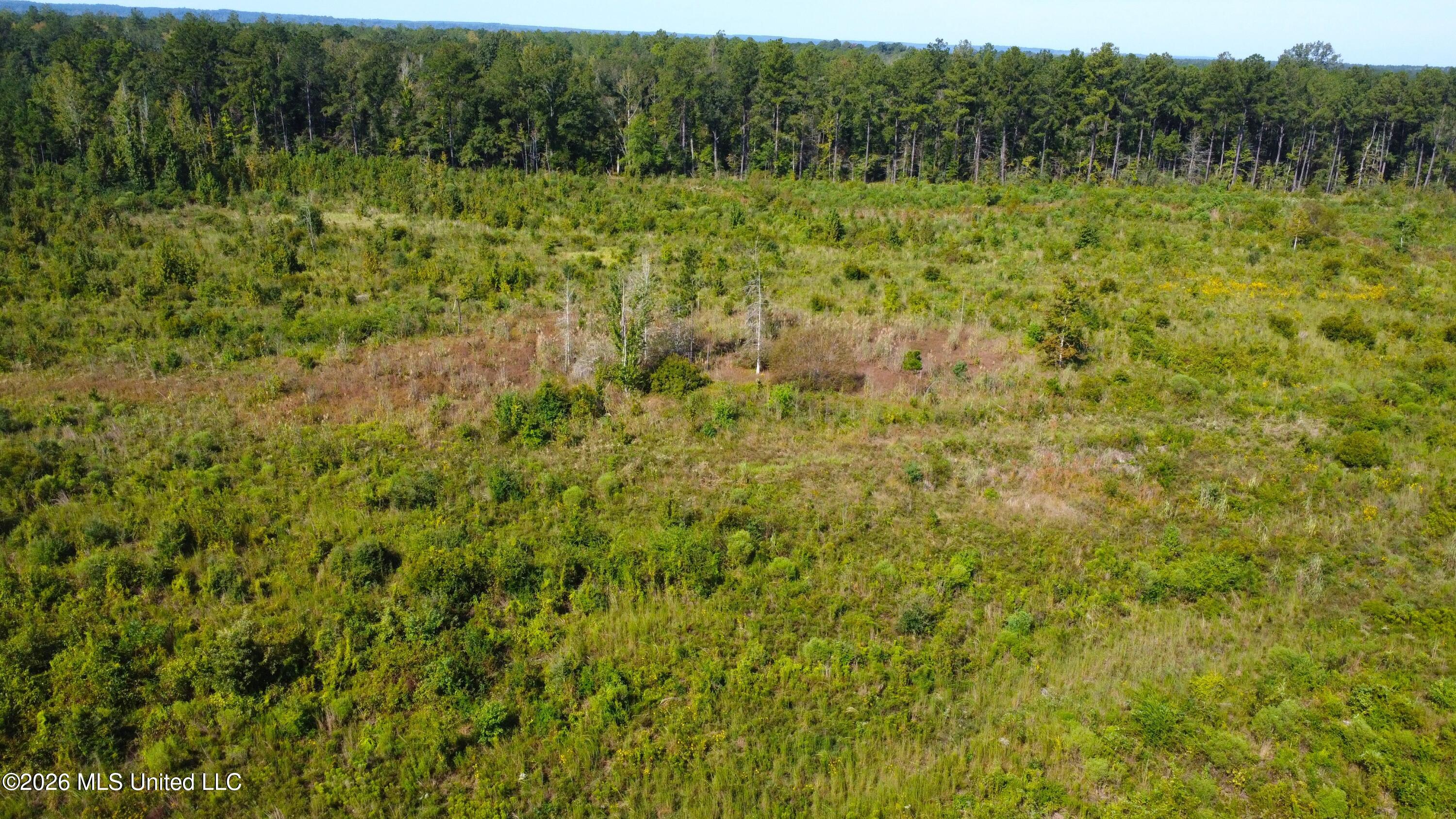River Bend Road Property Photo 15