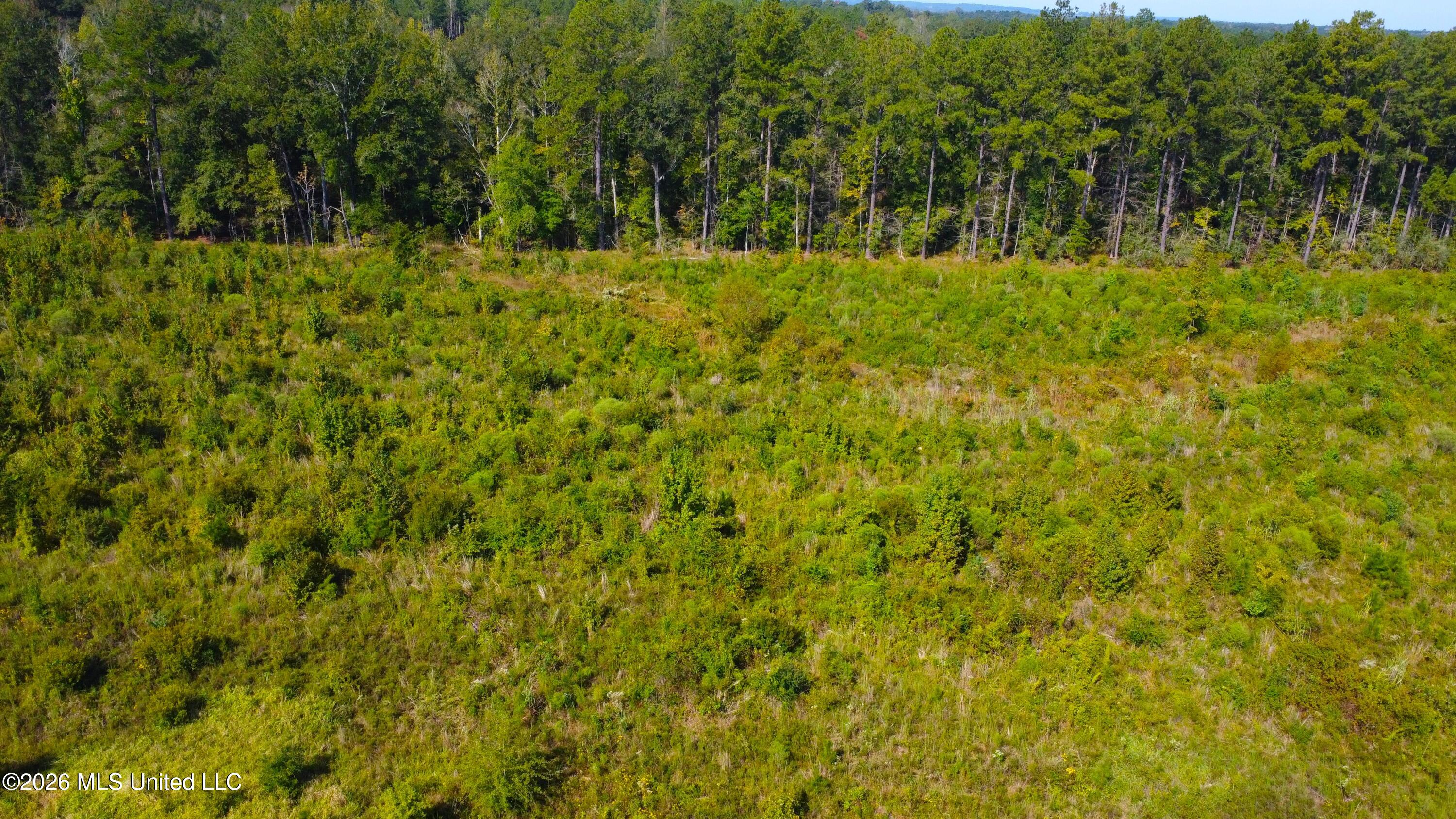 River Bend Road Property Photo 16