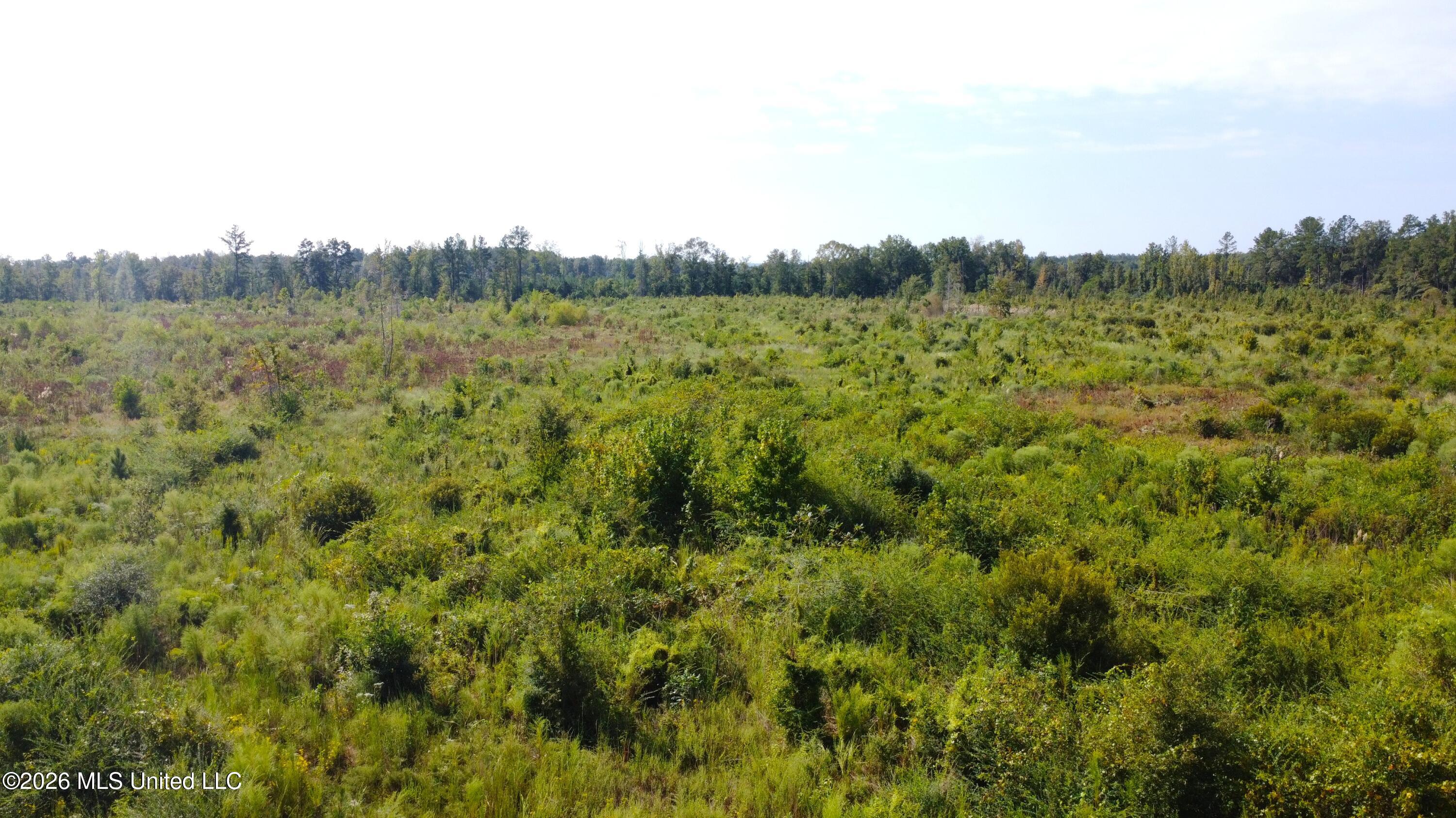 River Bend Road Property Photo 21