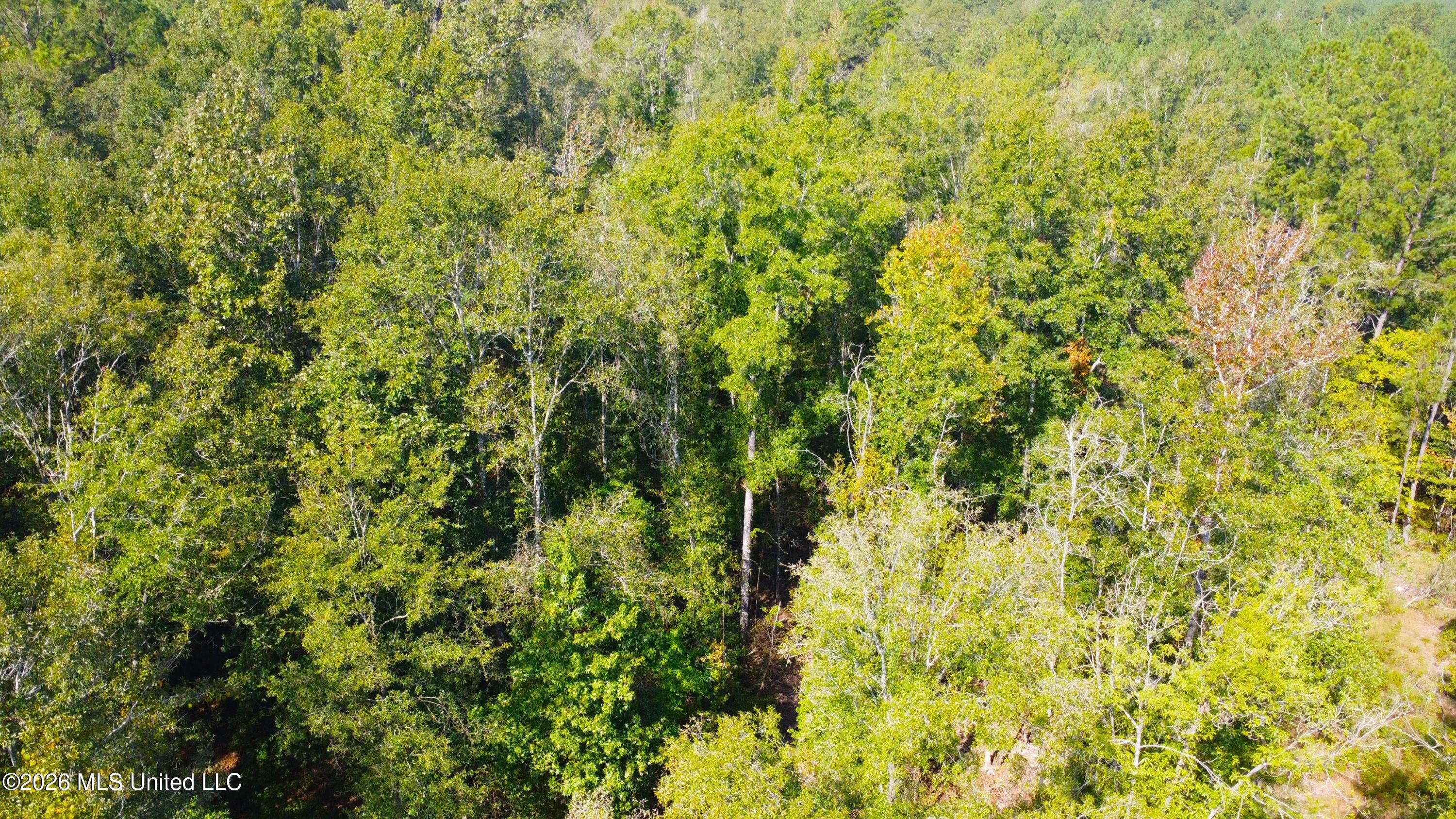 River Bend Road Property Photo 3