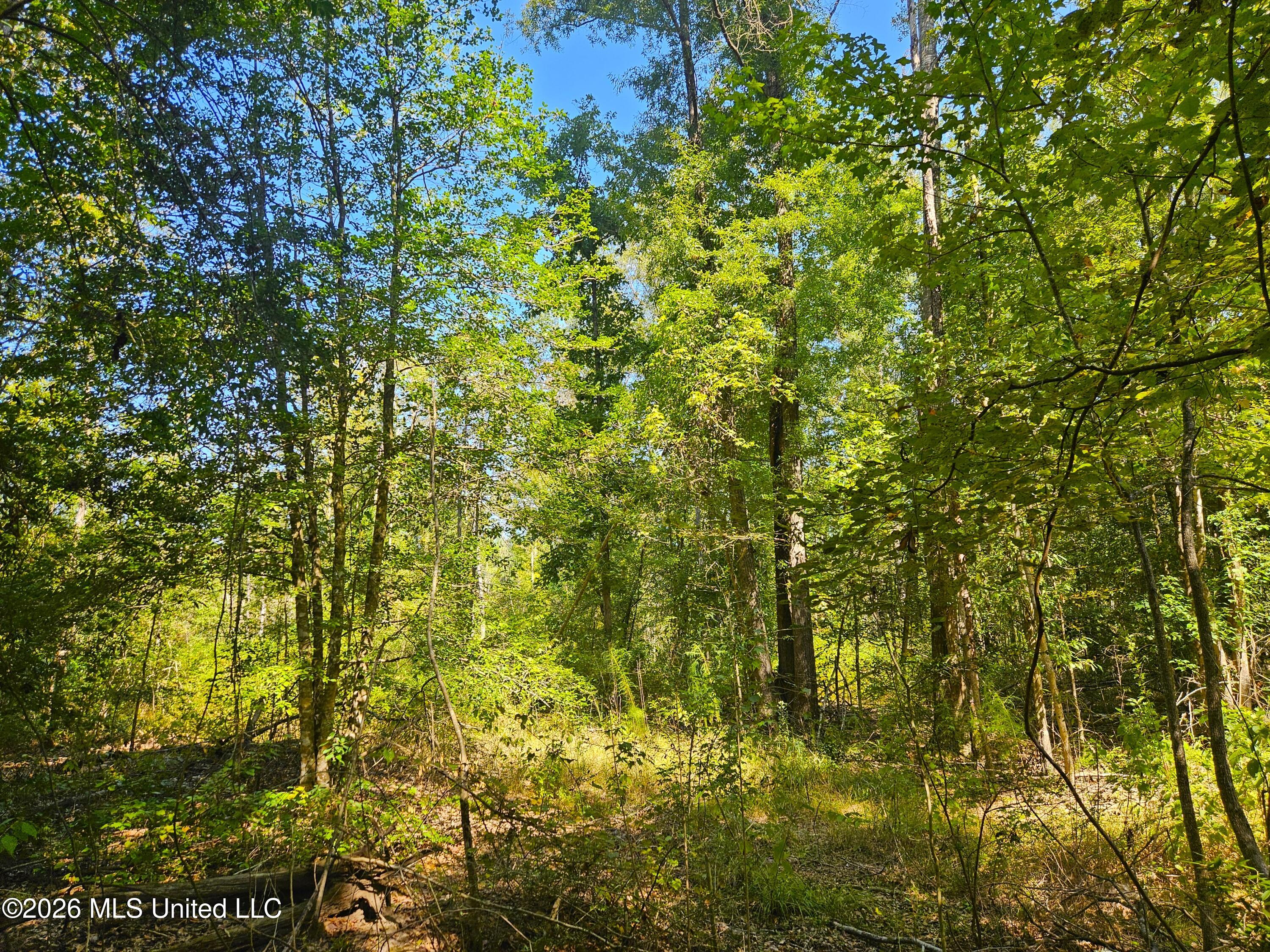 River Bend Road Property Photo 8
