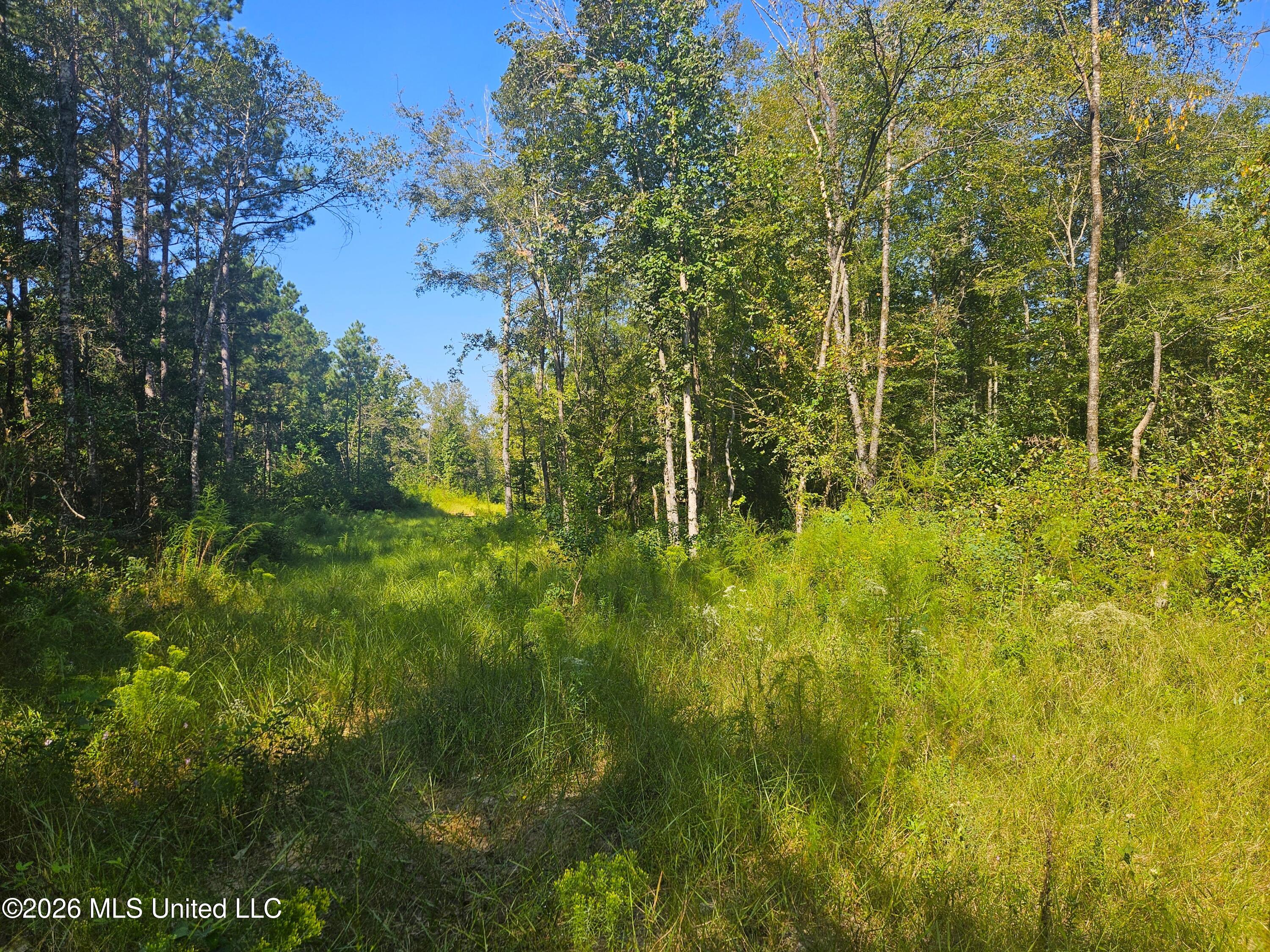 River Bend Road Property Photo 4