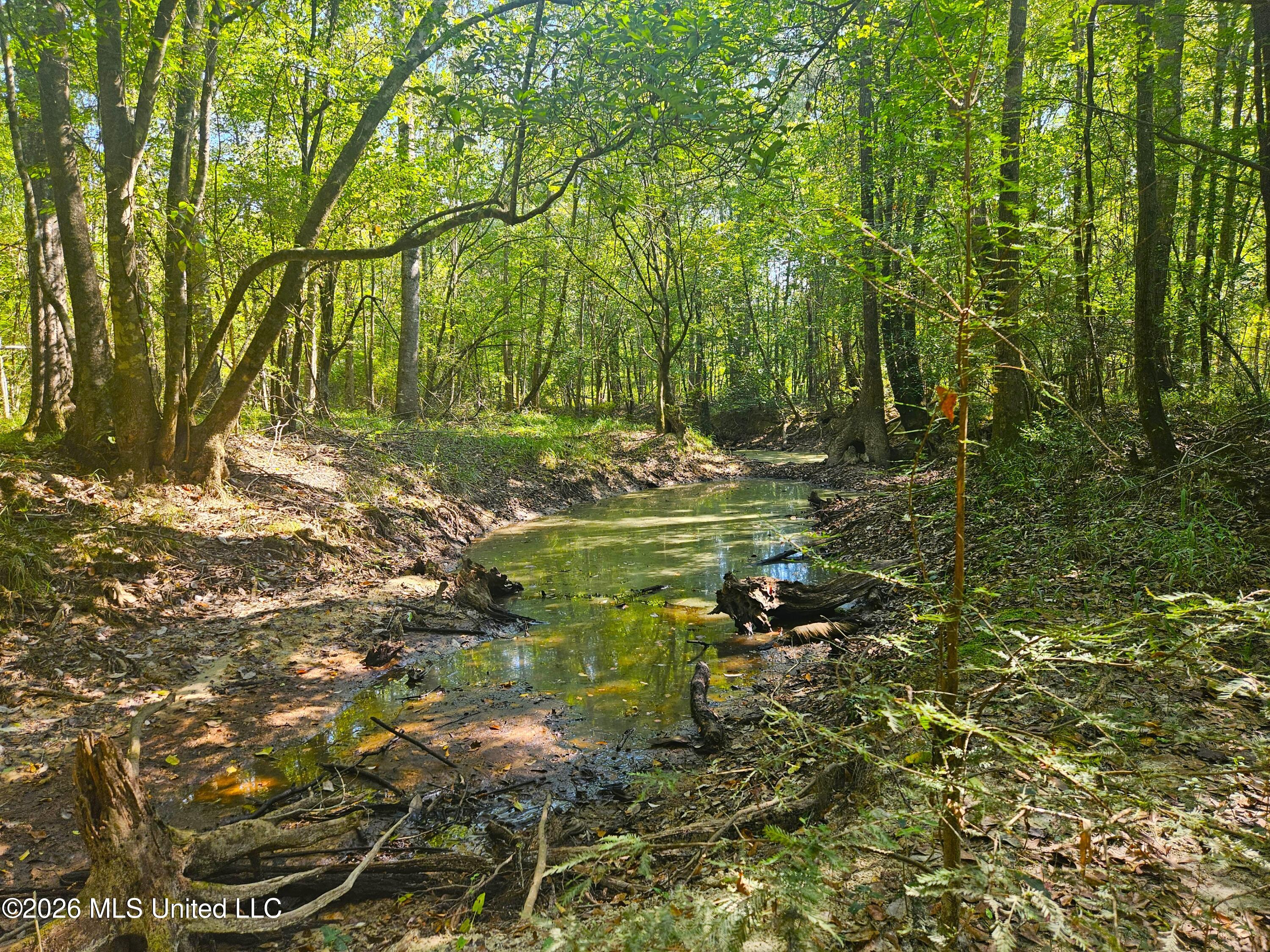 River Bend Road Property Photo 6