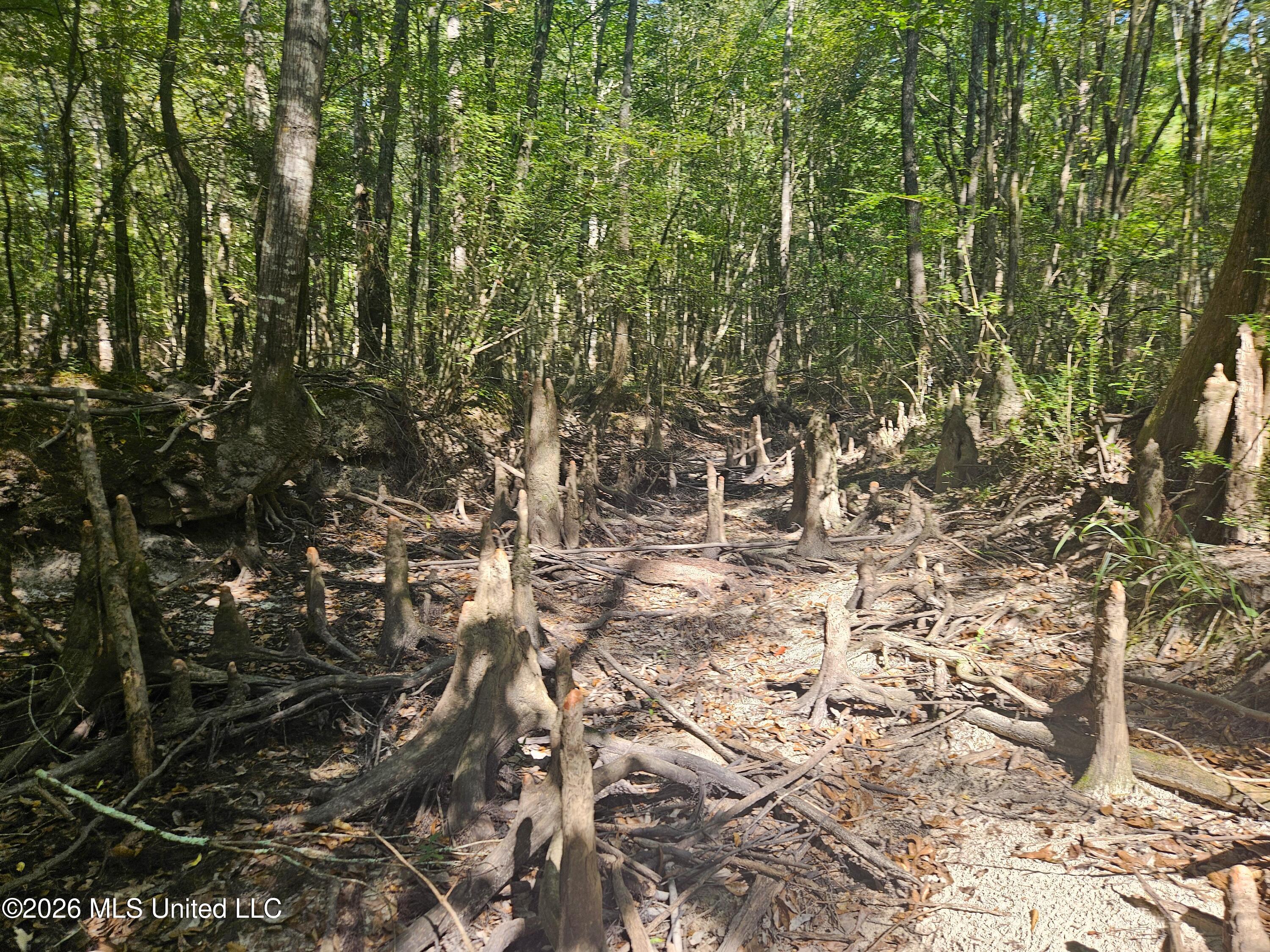 River Bend Road Property Photo 9