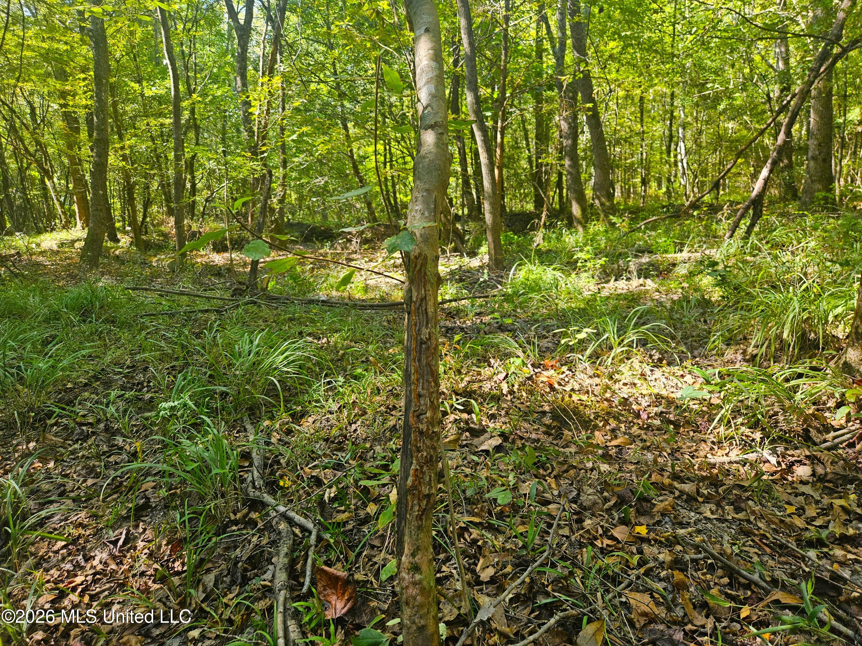 River Bend Road Property Photo 13