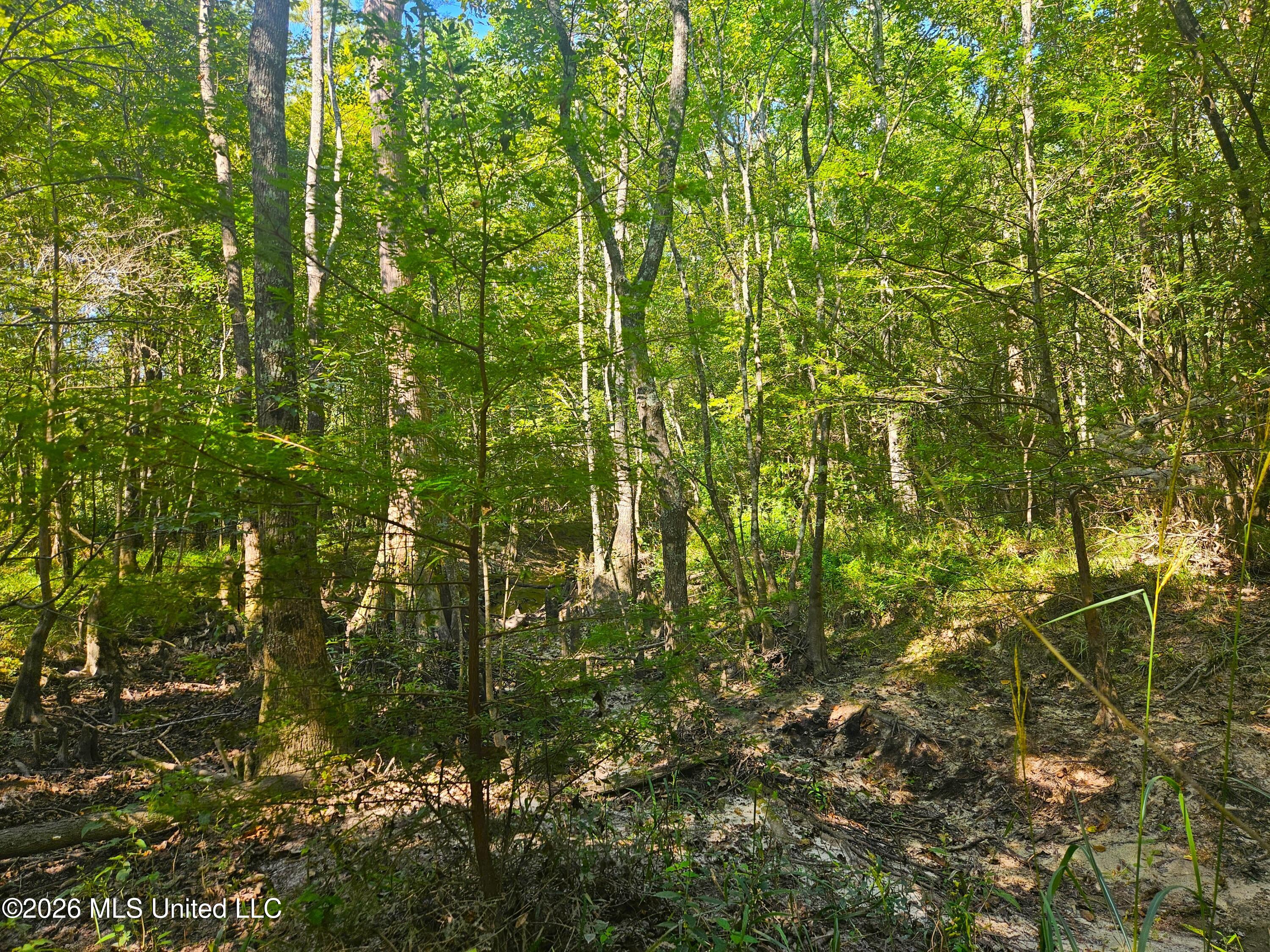River Bend Road Property Photo 15