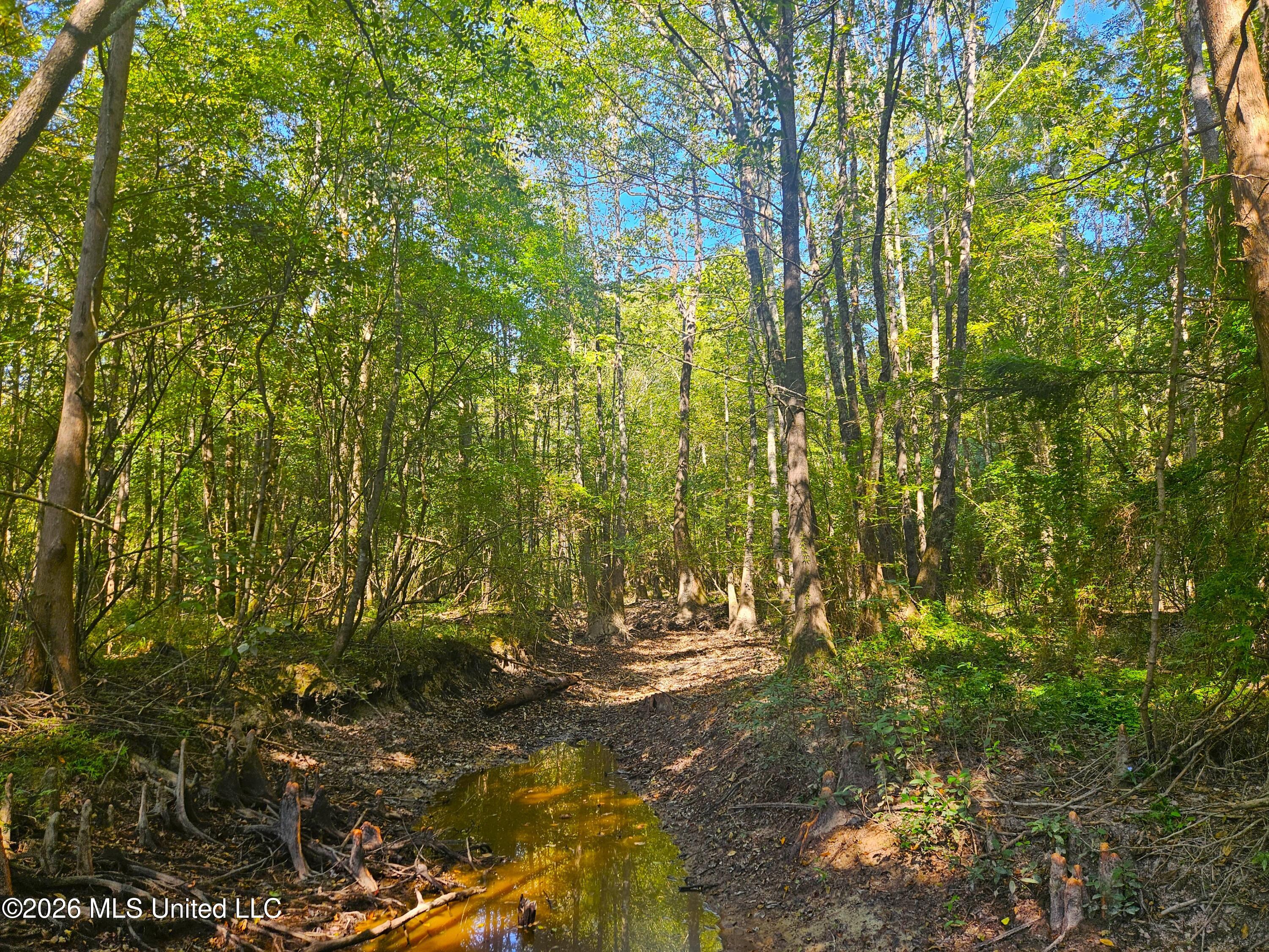 River Bend Road Property Photo 17