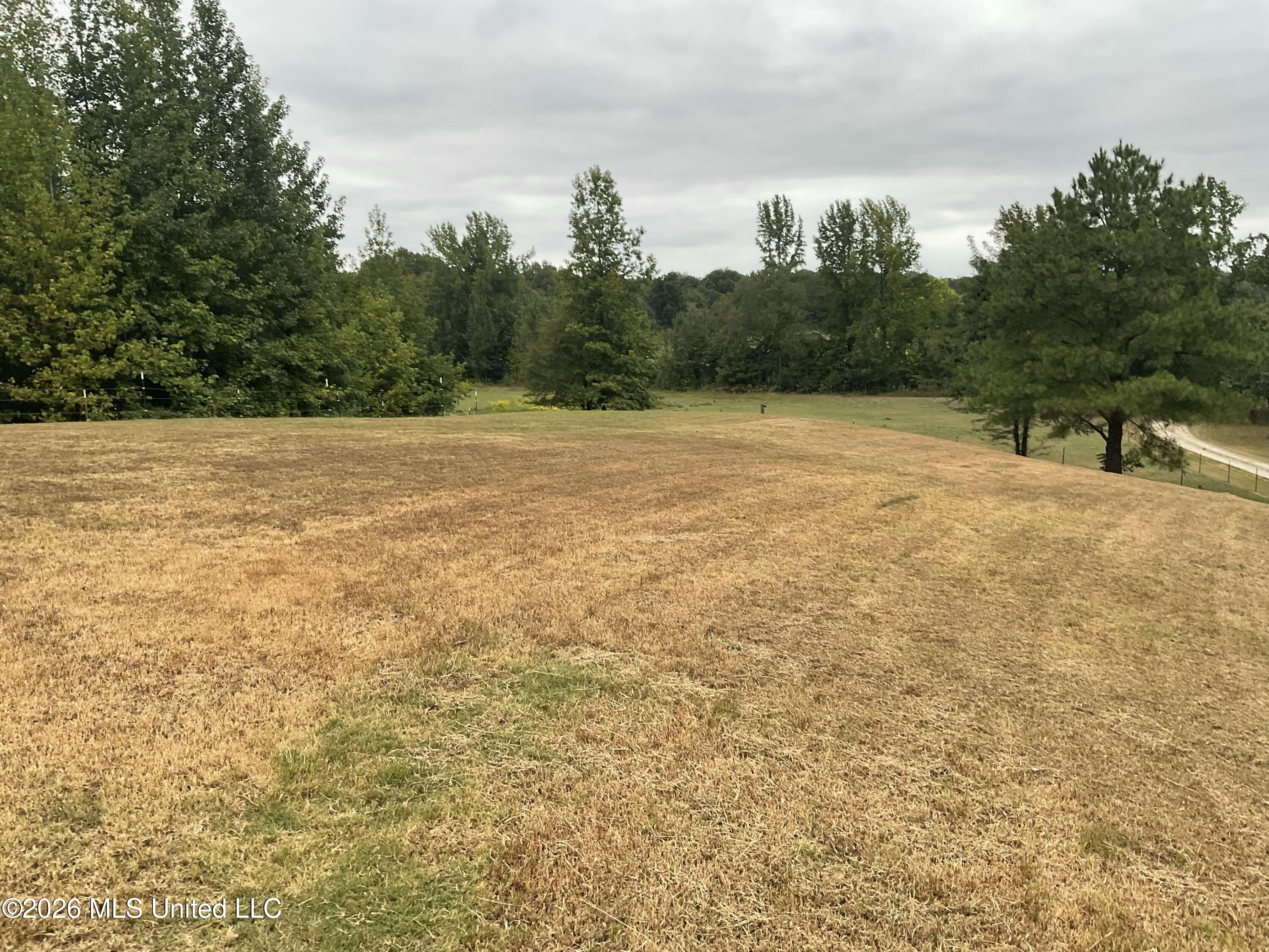 314 Wilburn Road Property Photo 7