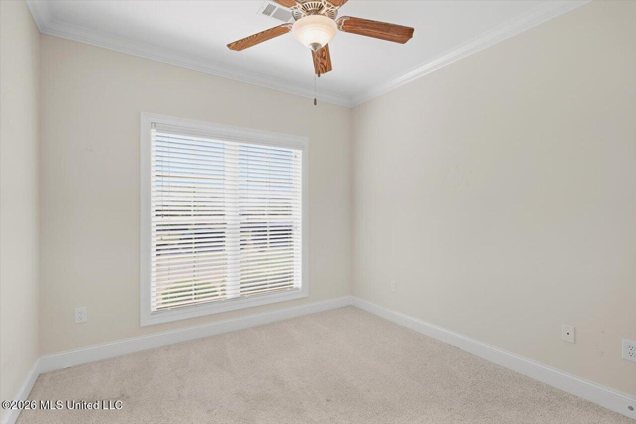 126 Essen Lane Property Photo 16