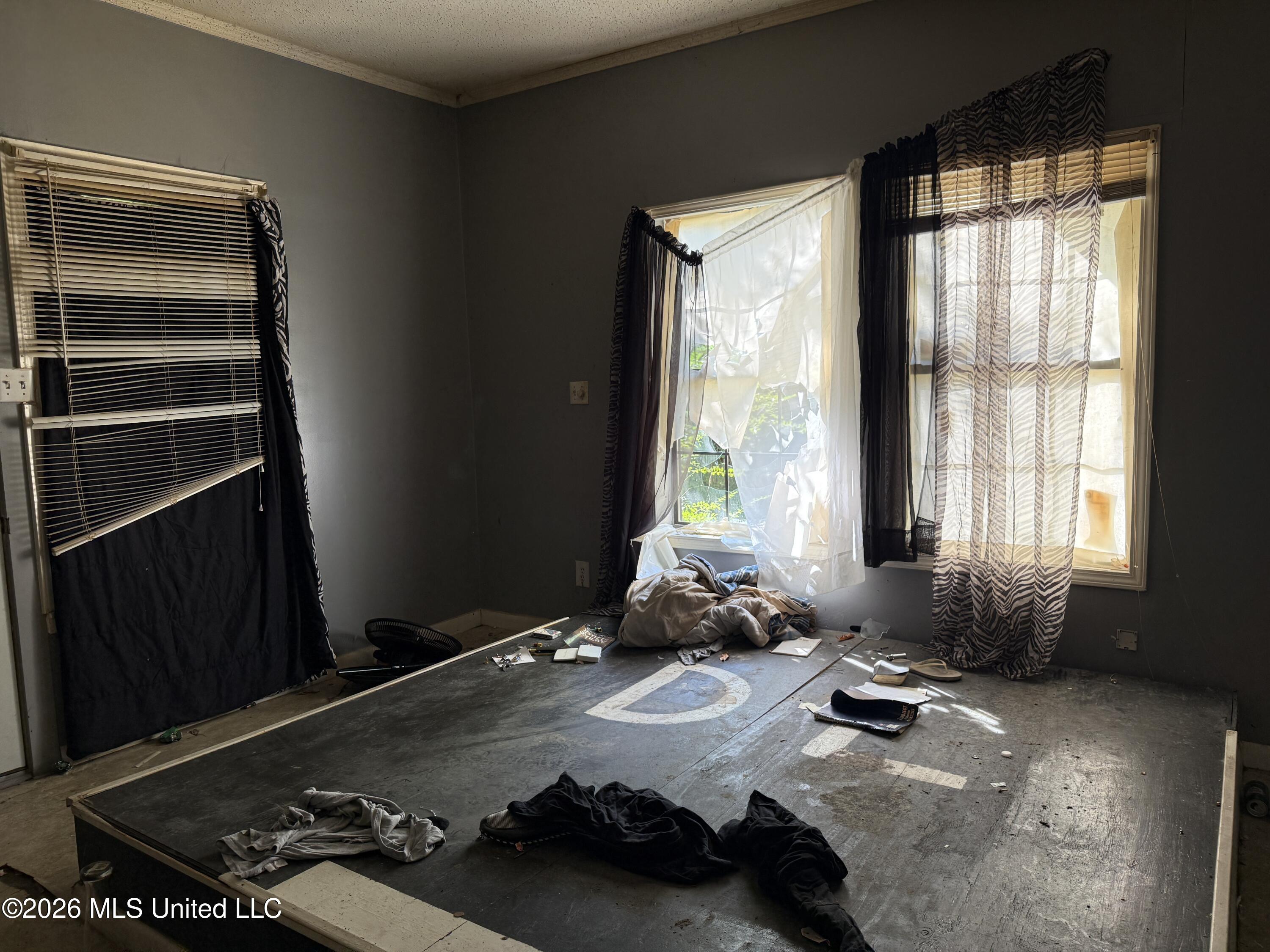312 Catalpa Street Property Photo 3
