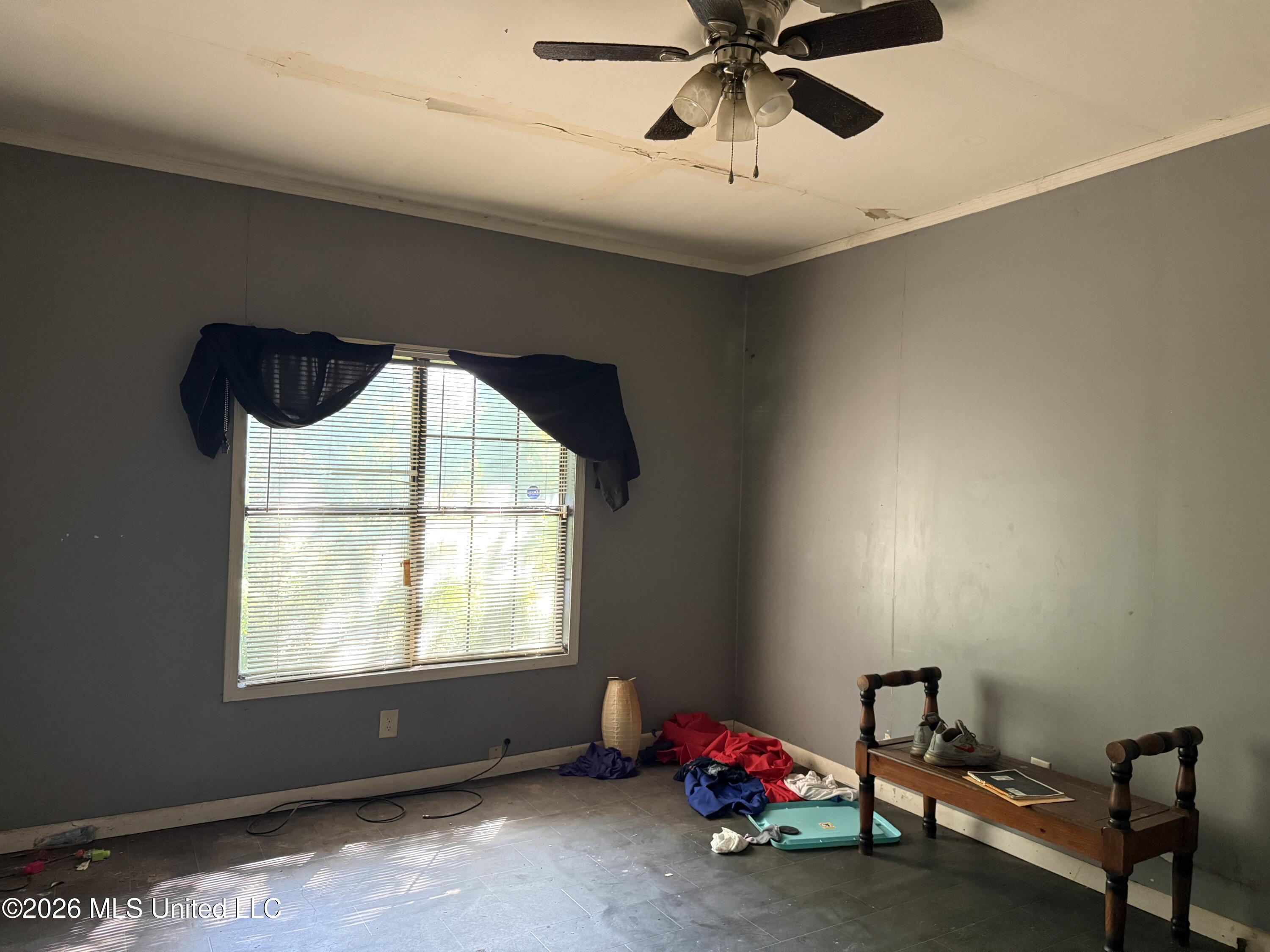 312 Catalpa Street Property Photo 7