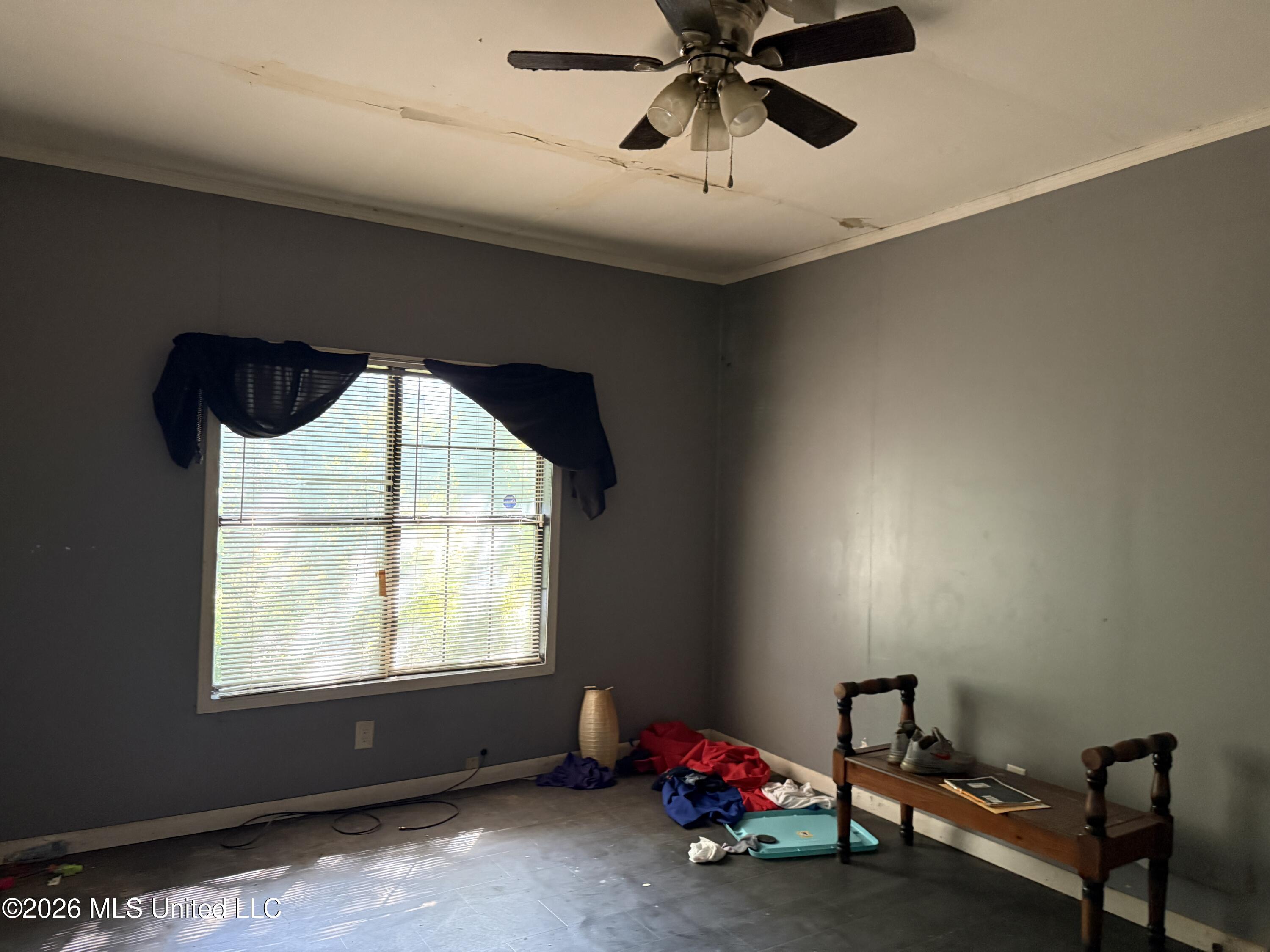 312 Catalpa Street Property Photo 8