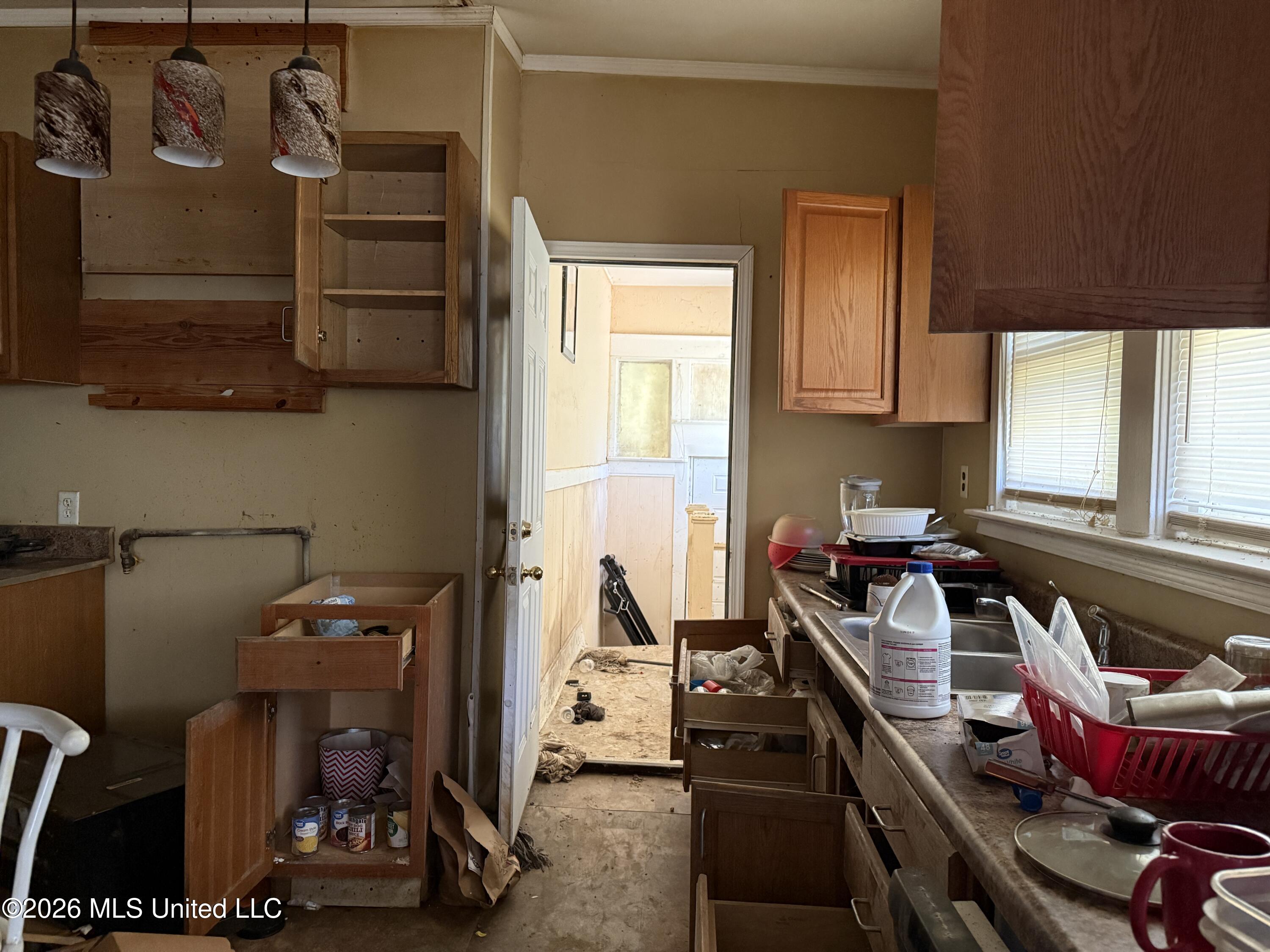 312 Catalpa Street Property Photo 12