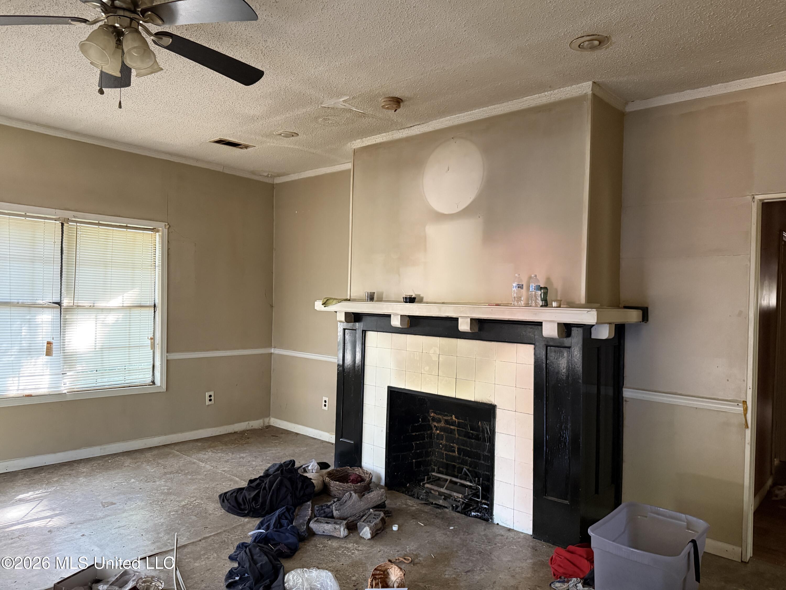 312 Catalpa Street Property Photo 17