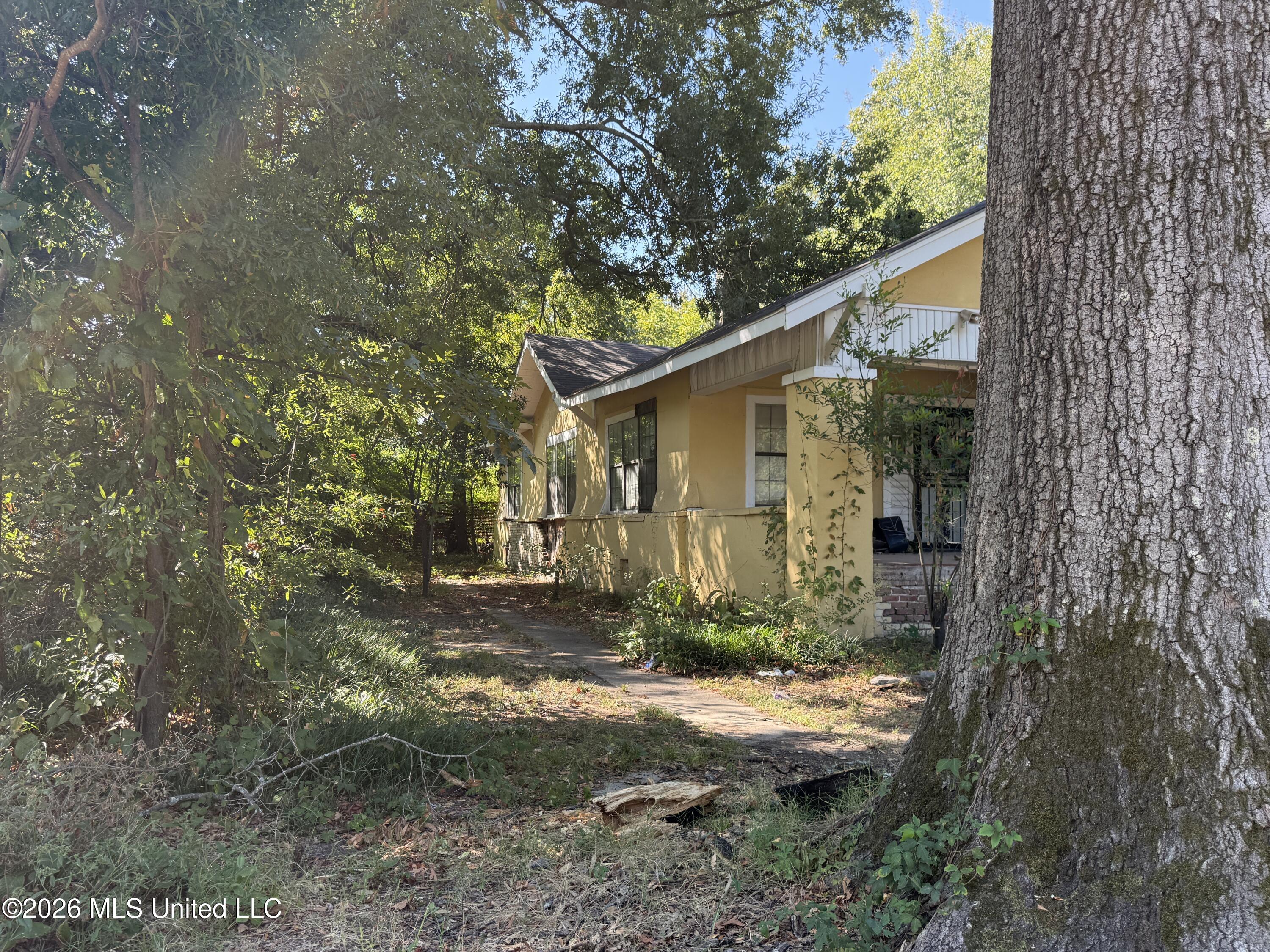 312 Catalpa Street Property Photo 22
