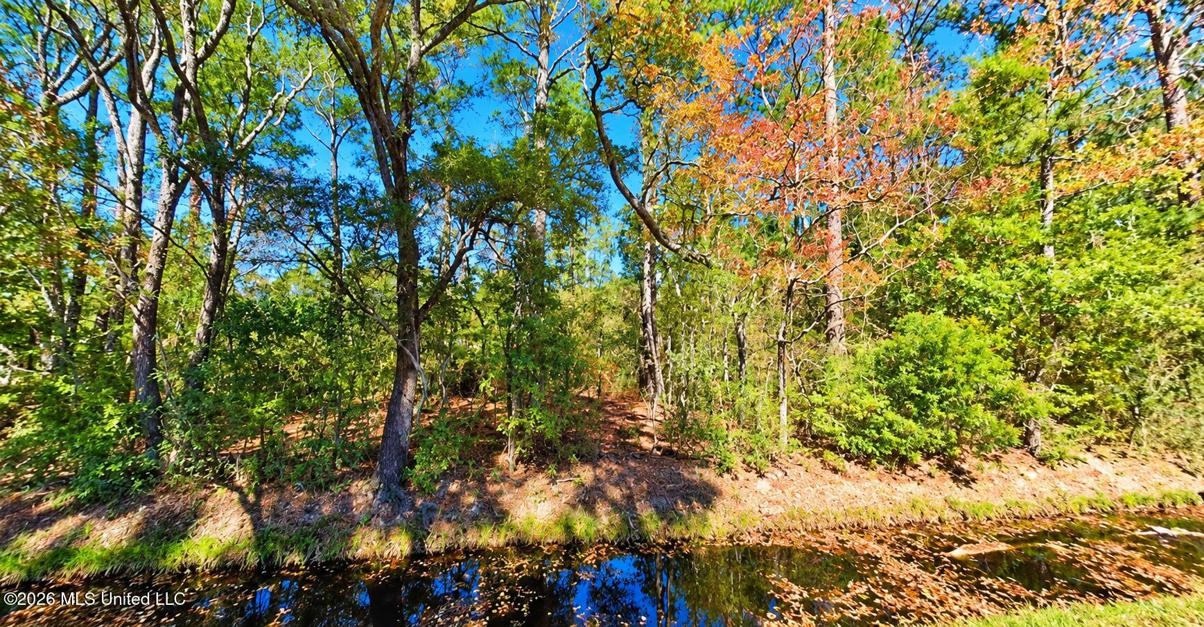 Browns Village Road Property Photo 1