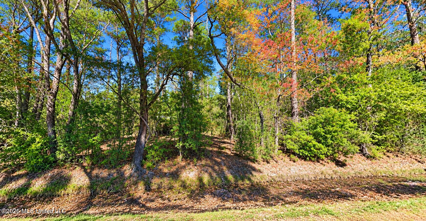 Browns Village Road Property Photo 2