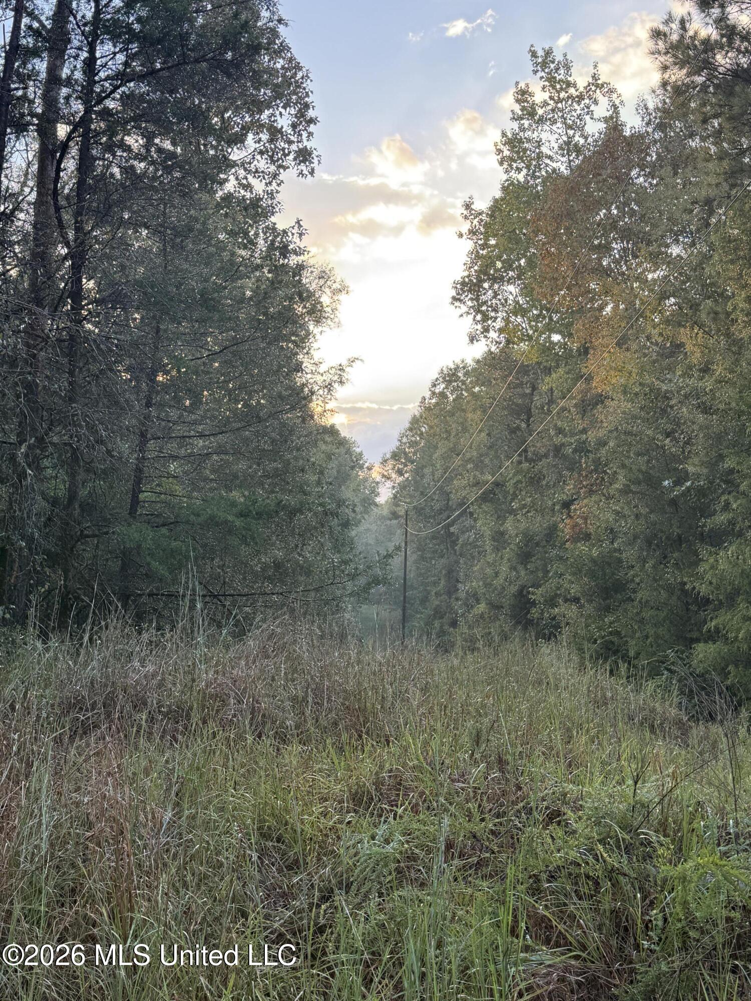 County Road 4167 Property Photo 1