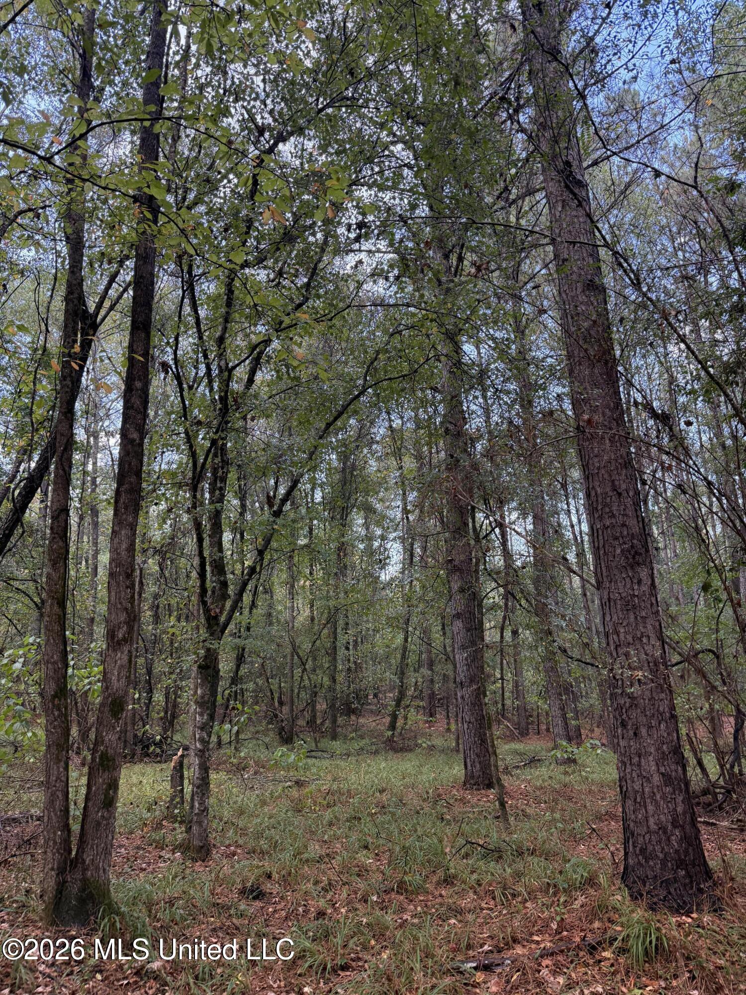 County Road 4167 Property Photo 4