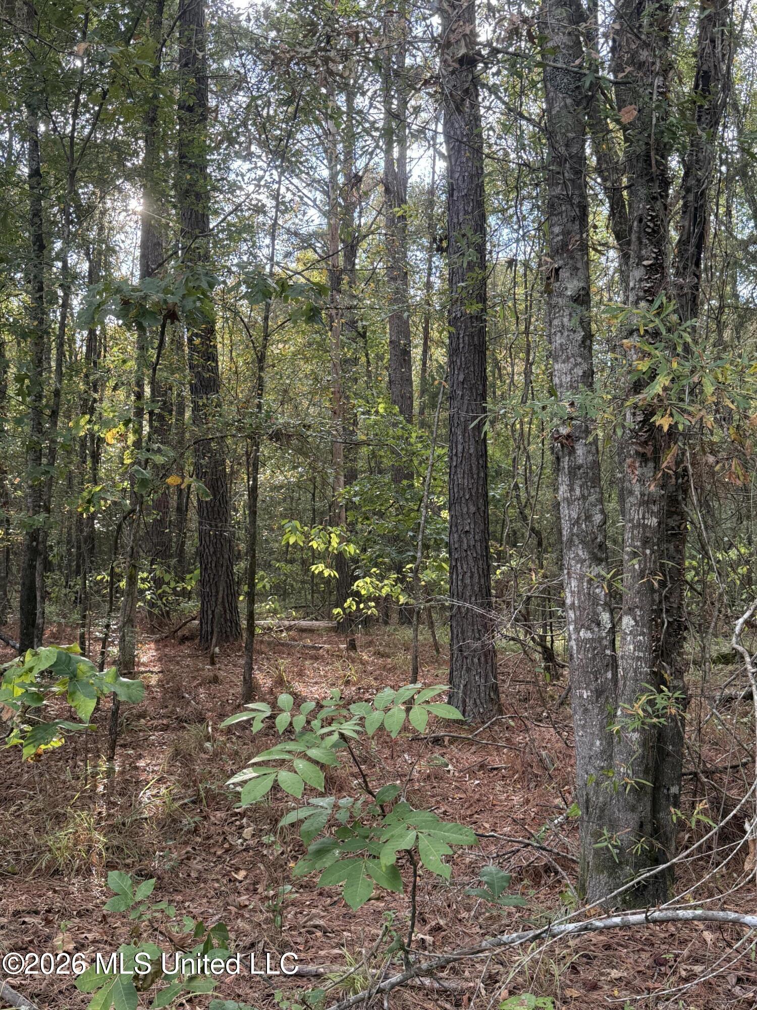 County Road 4167 Property Photo 6