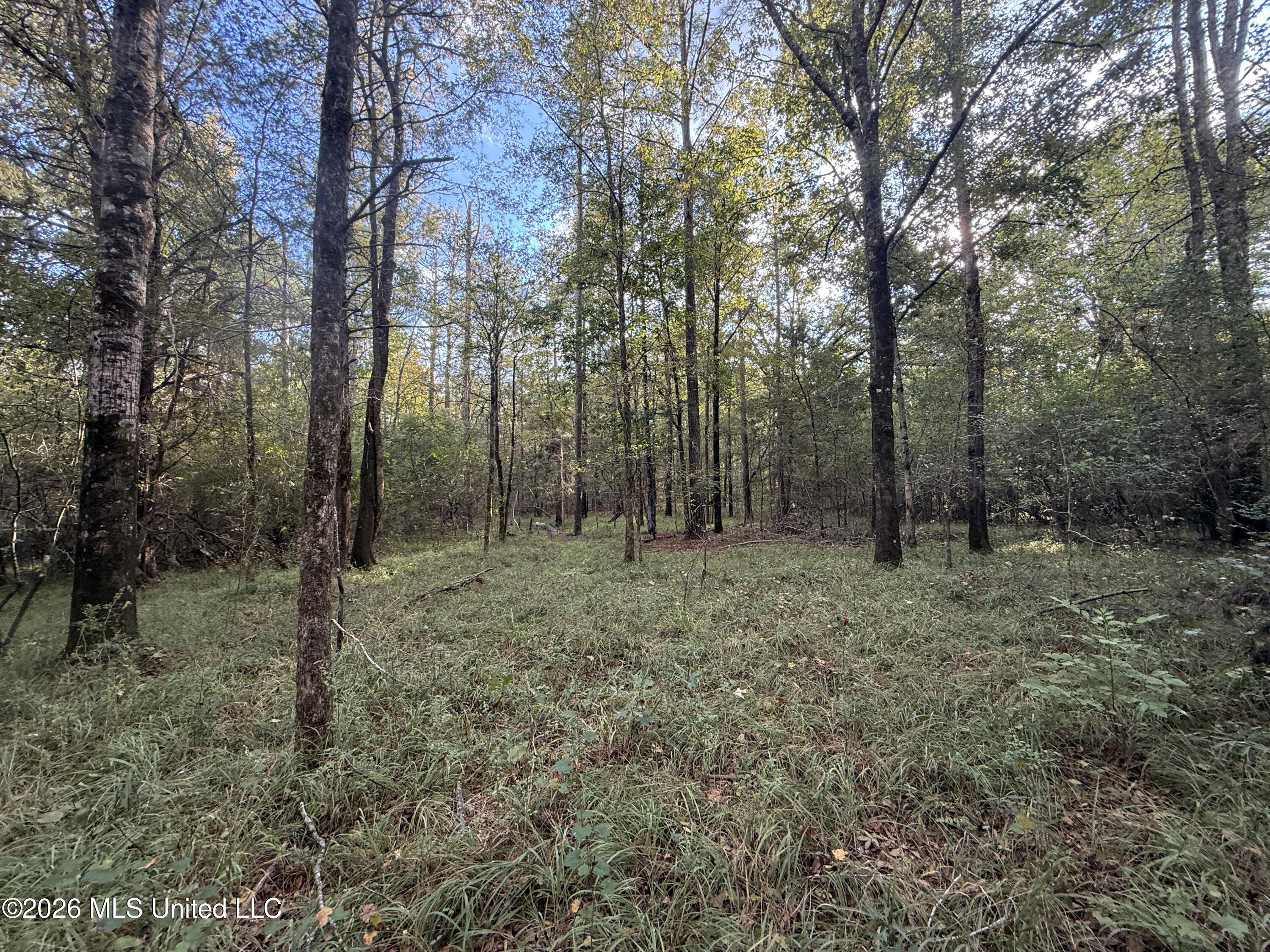 County Road 4167 Property Photo 7