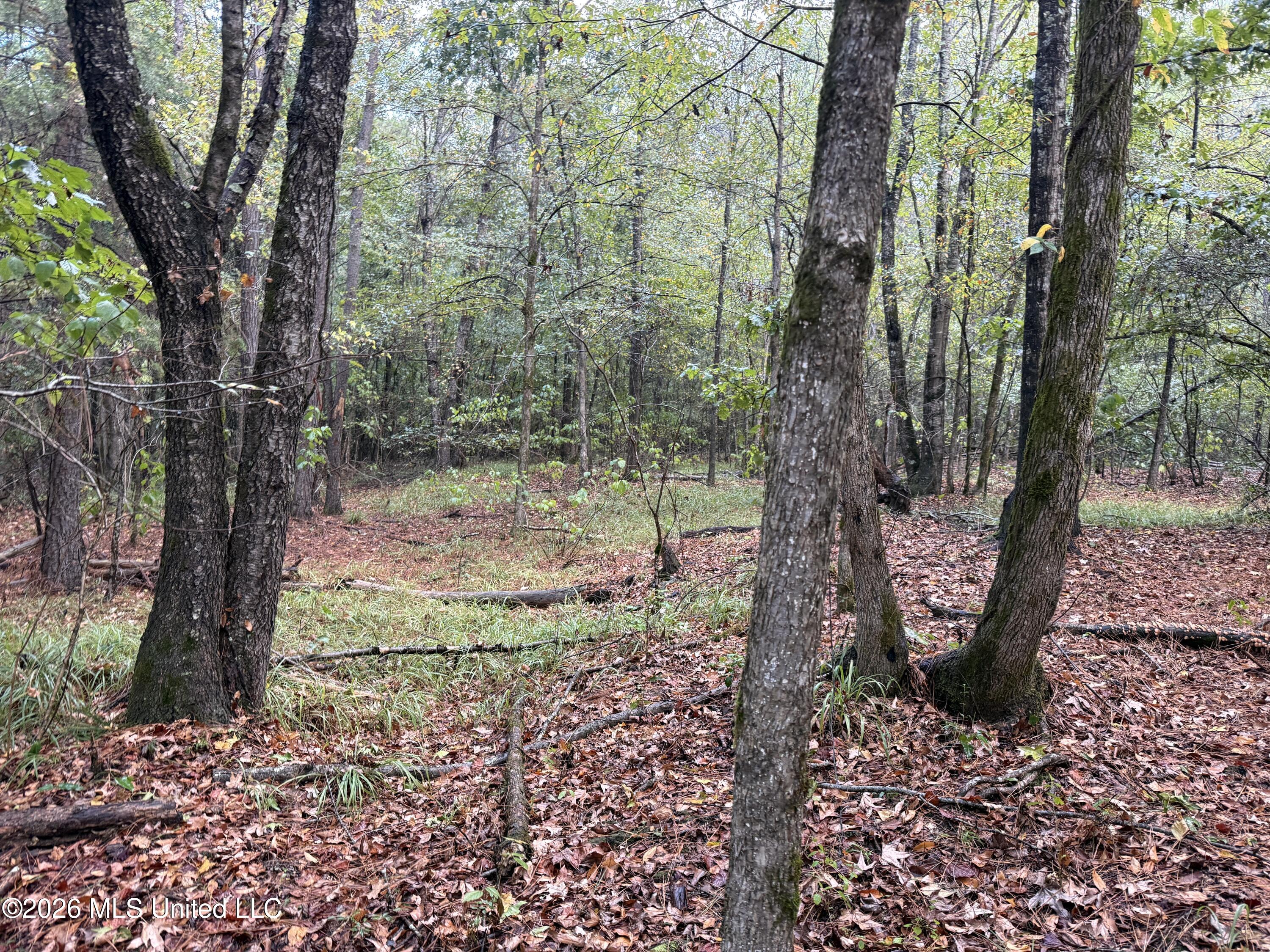 County Road 4167 Property Photo 10