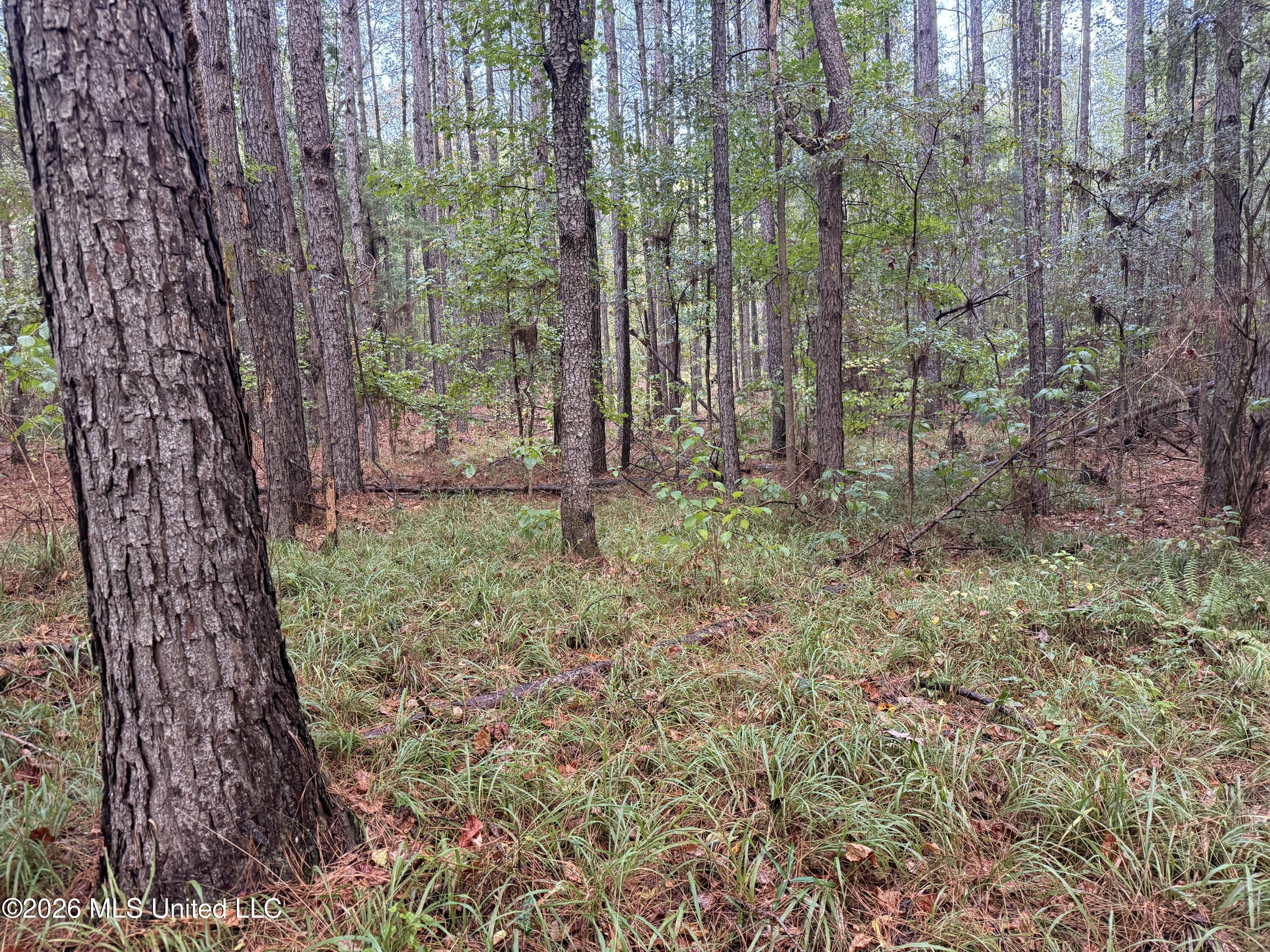 County Road 4167 Property Photo 11