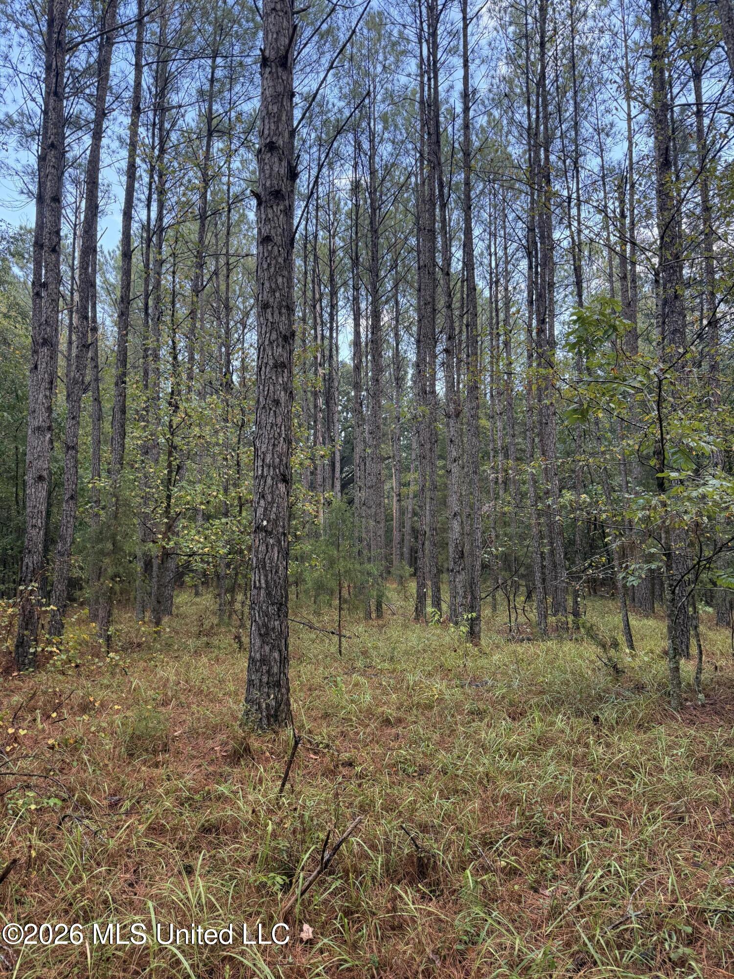 County Road 4167 Property Photo 12