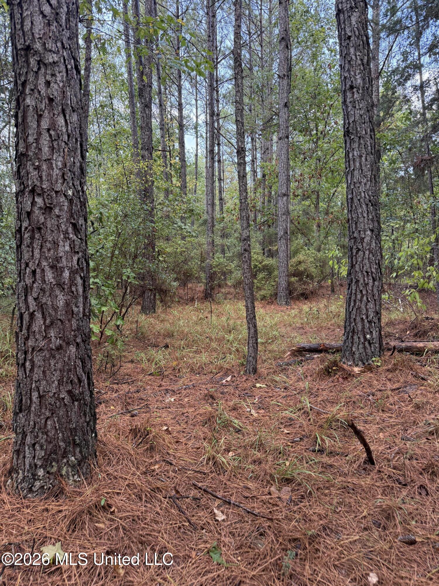County Road 4167 Property Photo 13