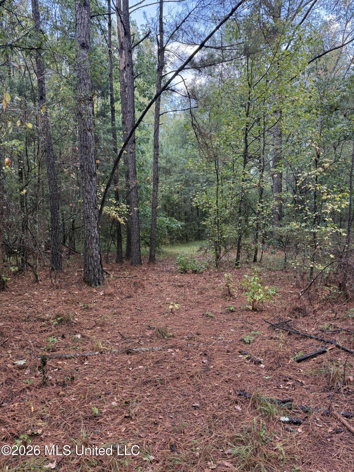 County Road 4167 Property Photo 14