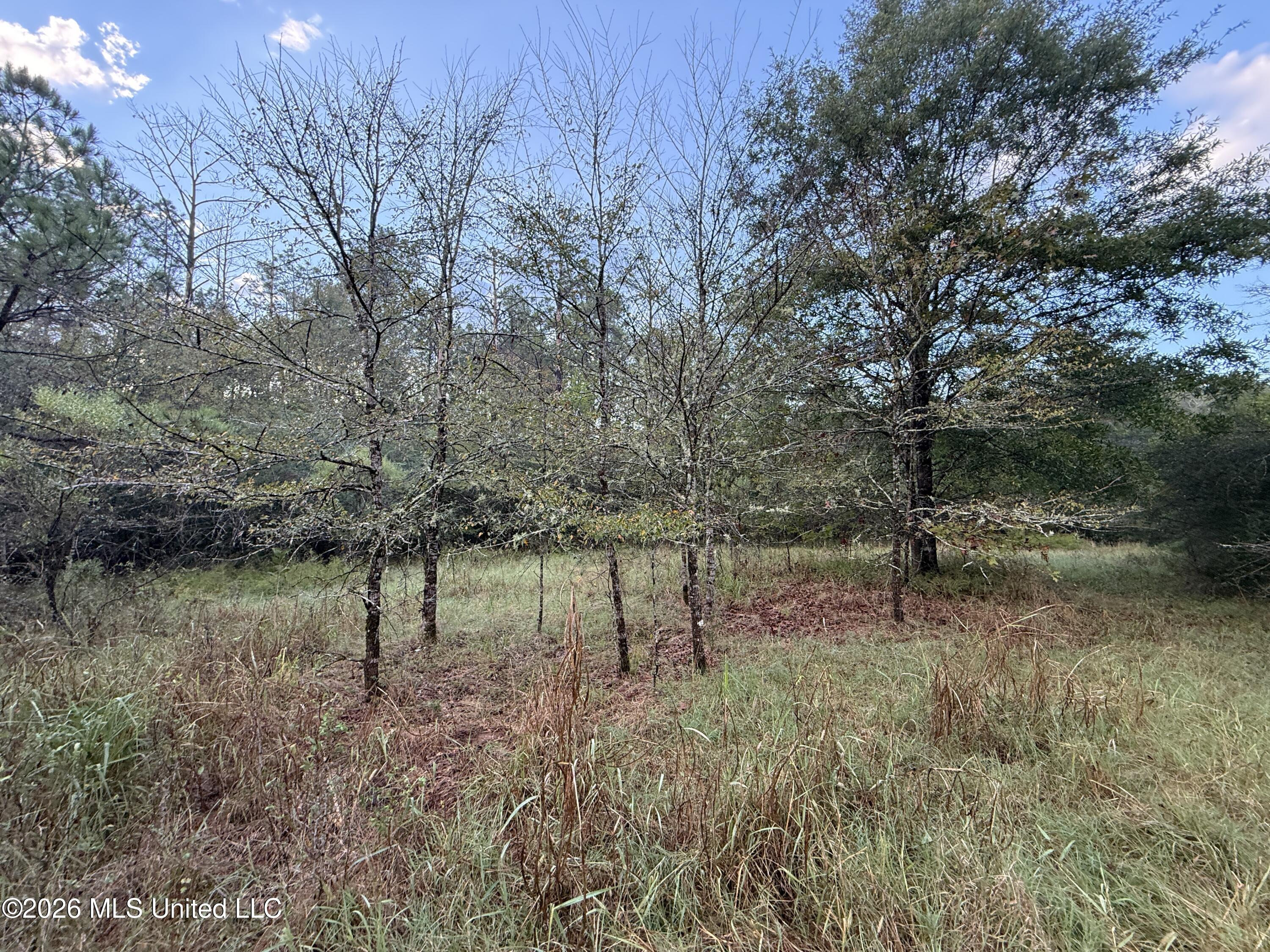 County Road 4167 Property Photo 15