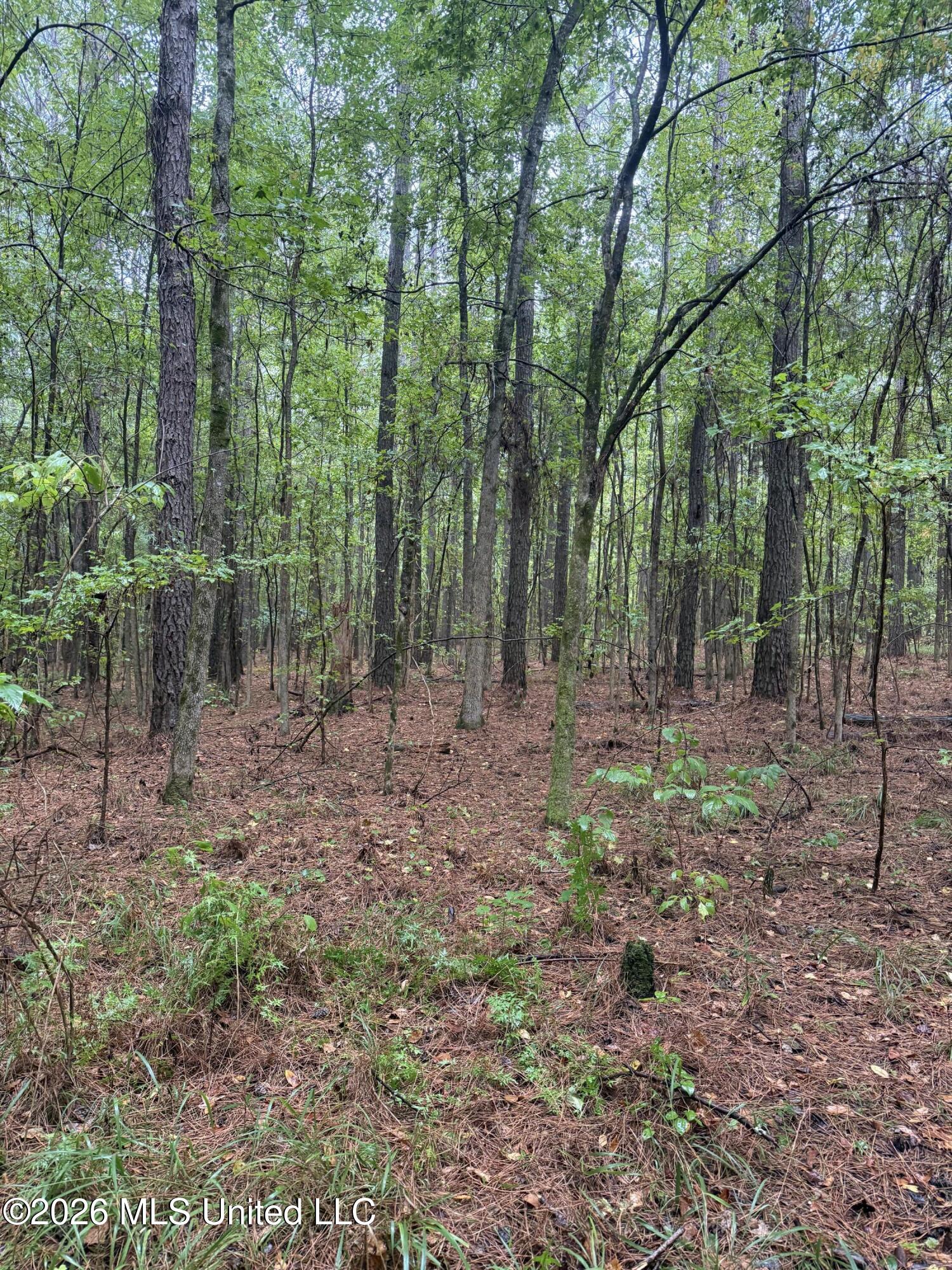 County Road 4167 Property Photo 16