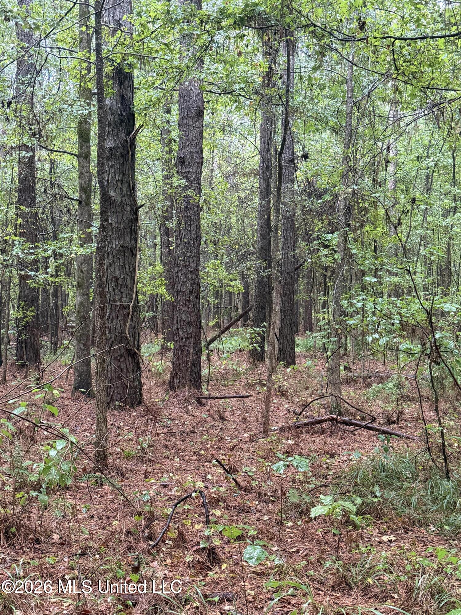 County Road 4167 Property Photo 17